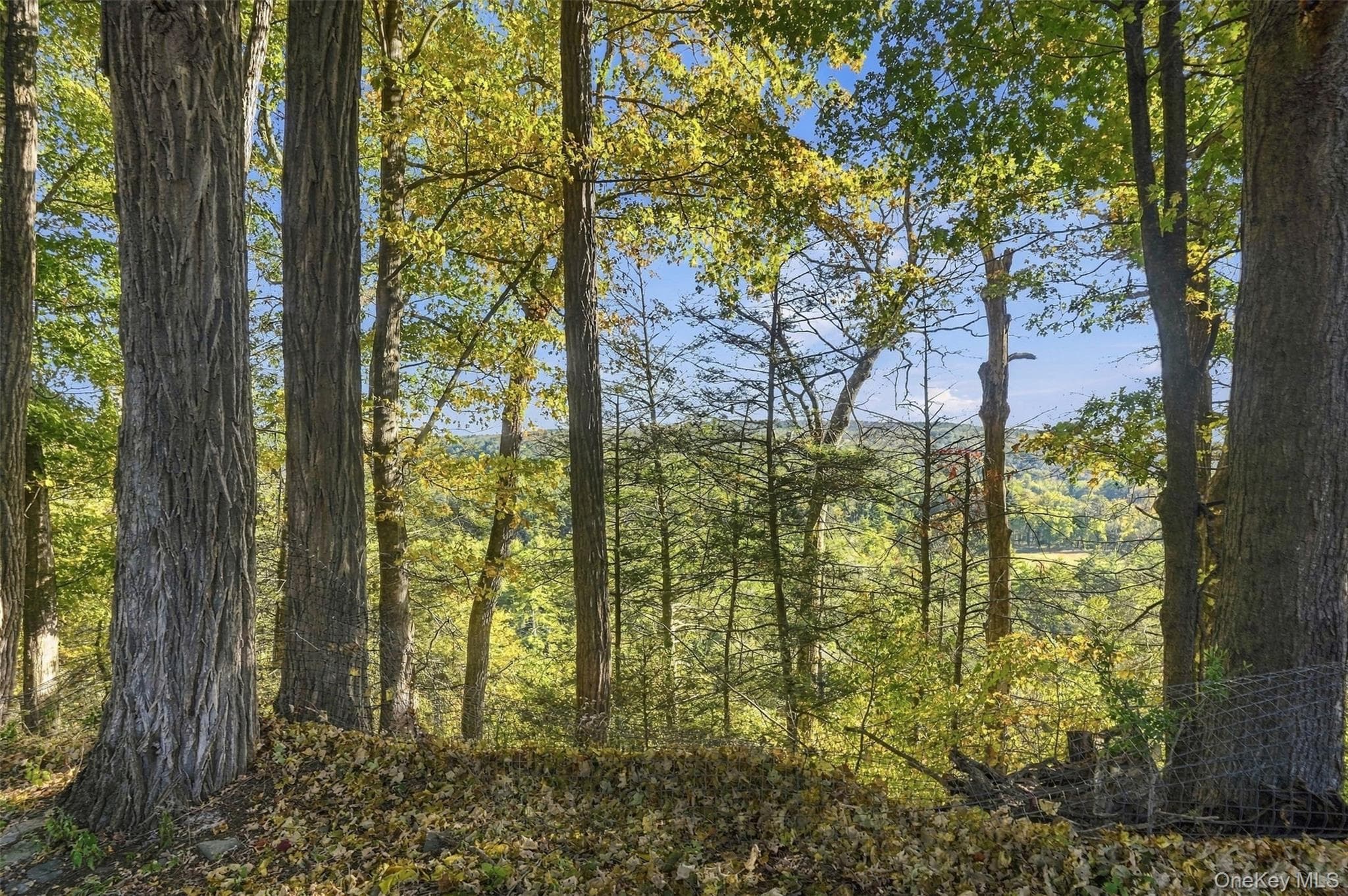 4230-4257 Atwood Road thumbnail 43