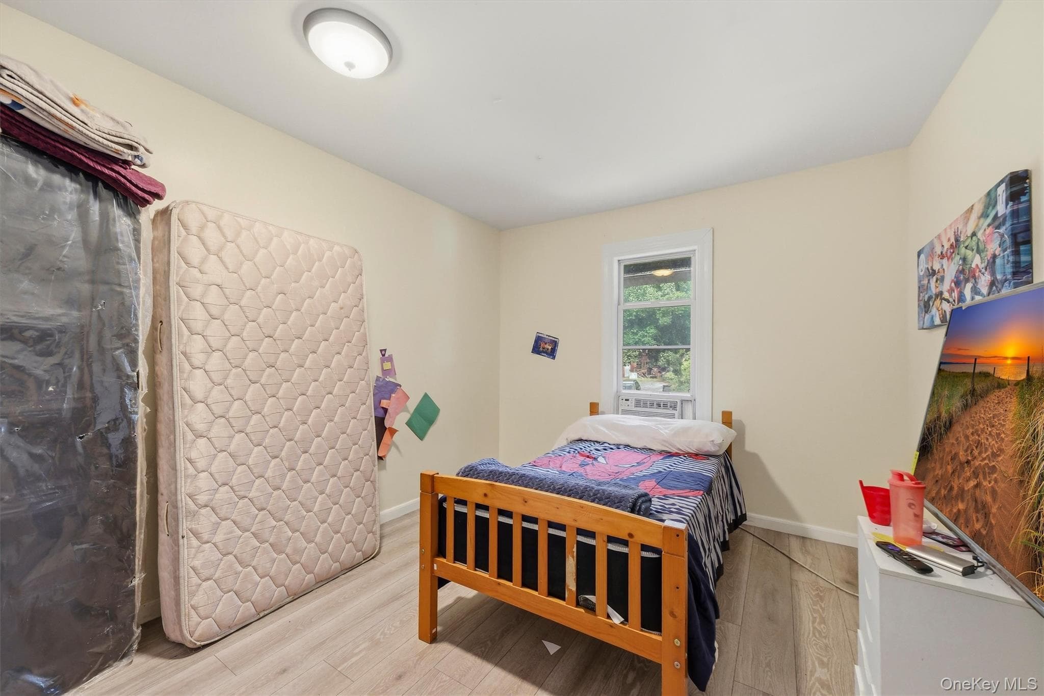 17 Carroll Street thumbnail 22