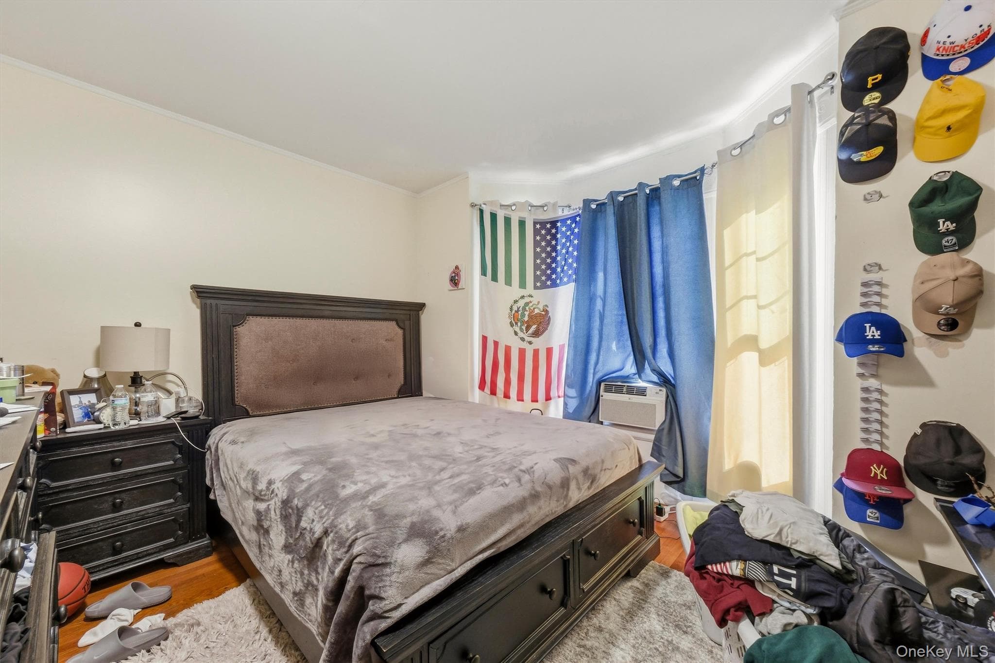 17 Carroll Street thumbnail 8