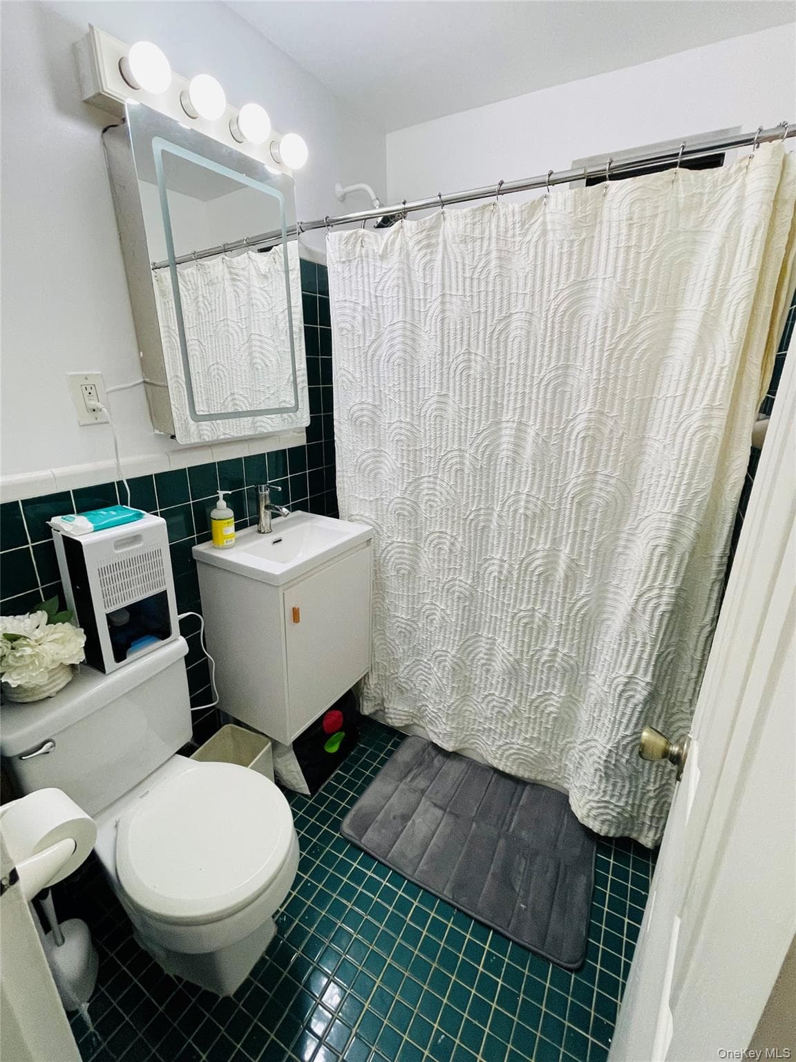 6215 53rd Avenue Unit: 1A thumbnail 5