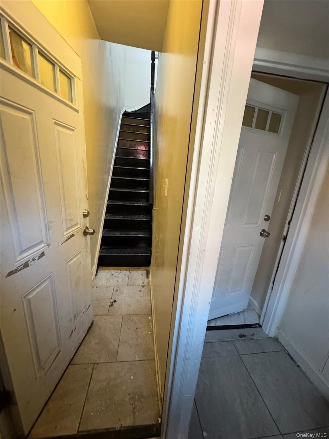 342 E 194th Street thumbnail 16