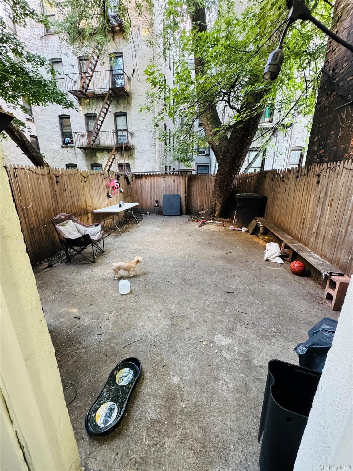342 E 194th Street thumbnail 25