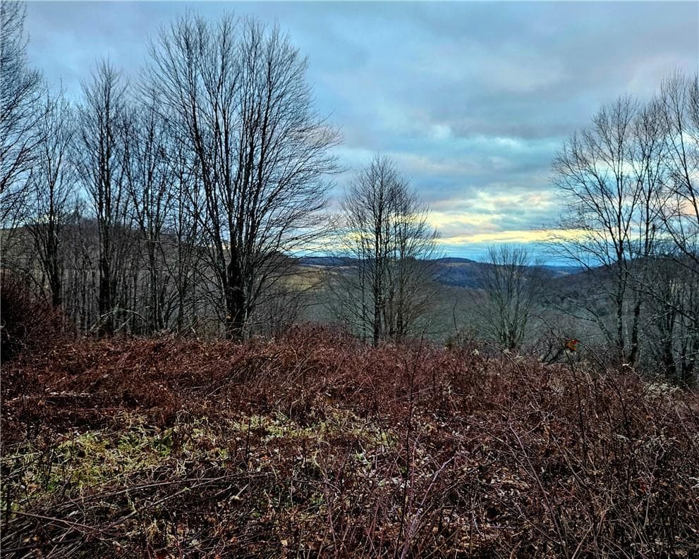 295 Pleasant Valley Road thumbnail 12
