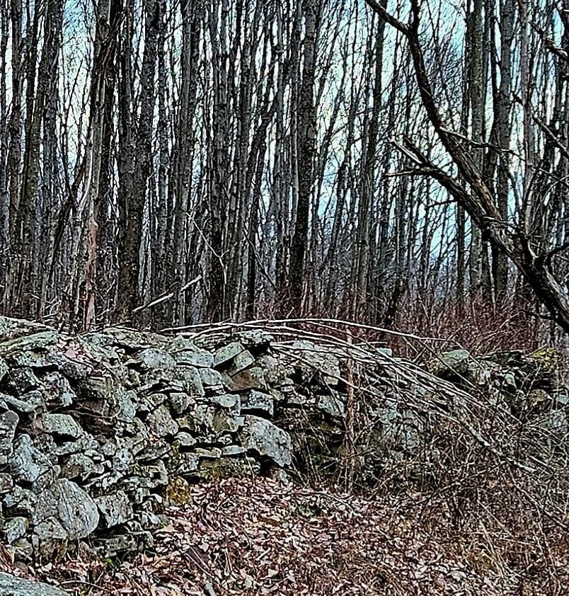 295 Pleasant Valley Road thumbnail 7