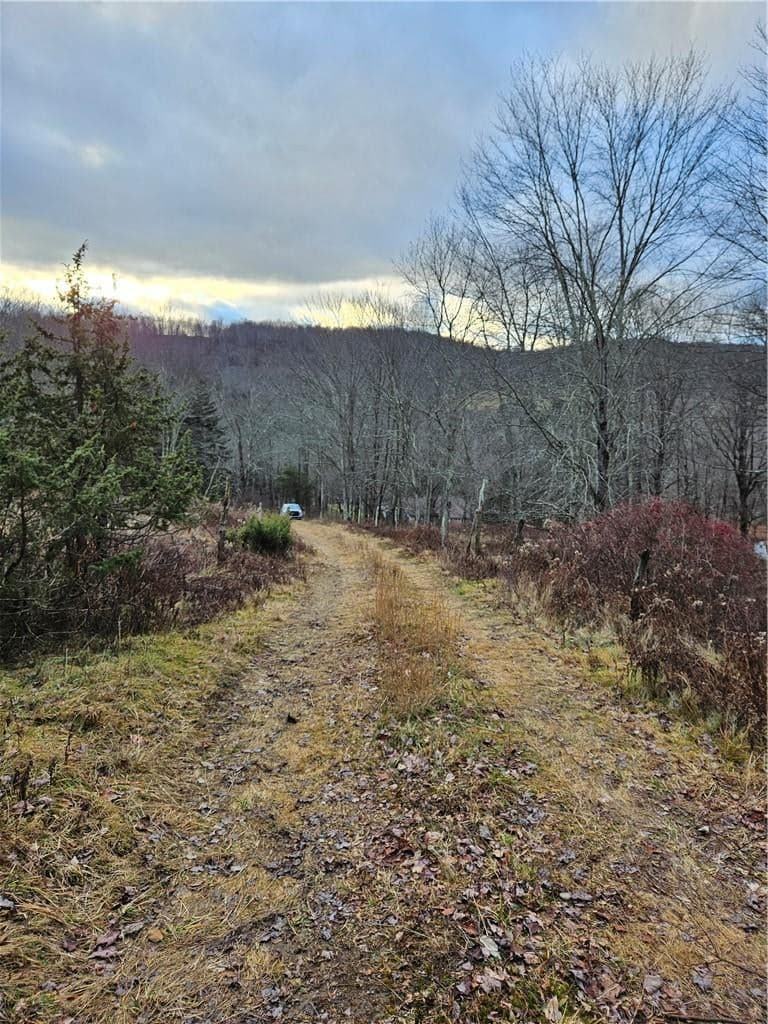 295 Pleasant Valley Road thumbnail 9