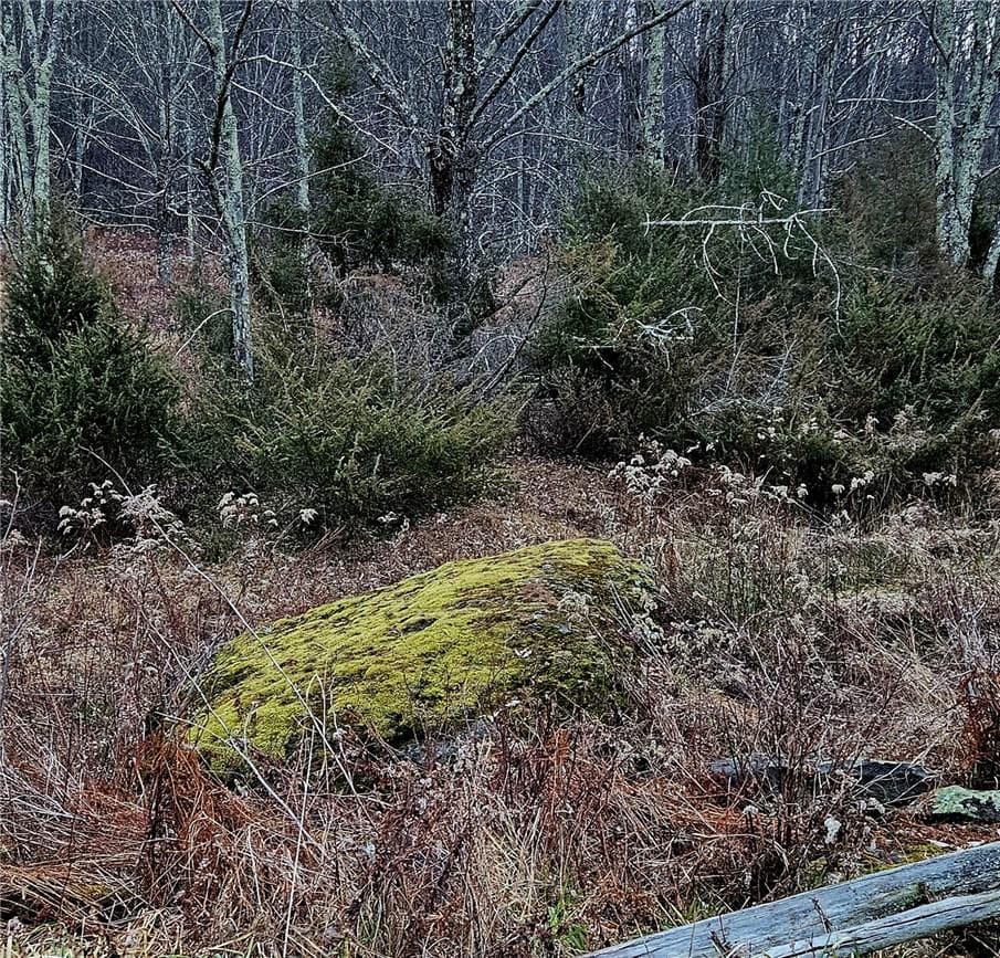 295 Pleasant Valley Road thumbnail 5