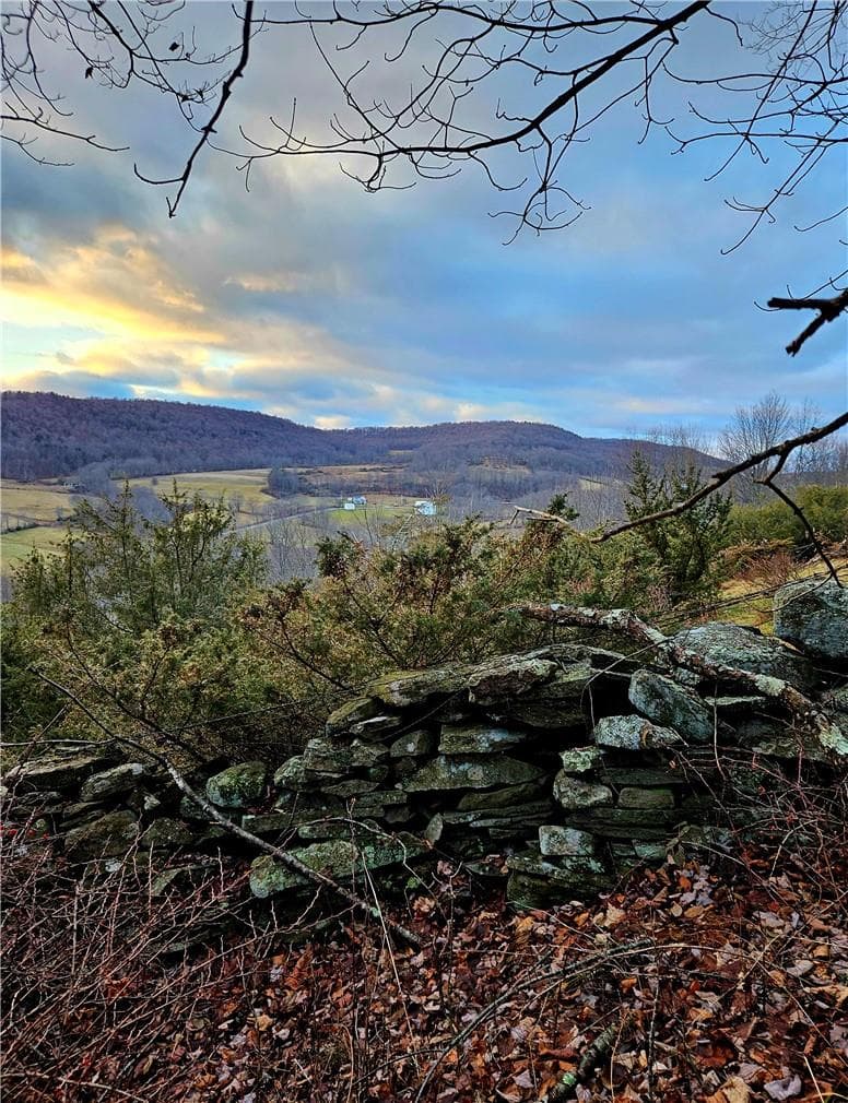 295 Pleasant Valley Road thumbnail 6