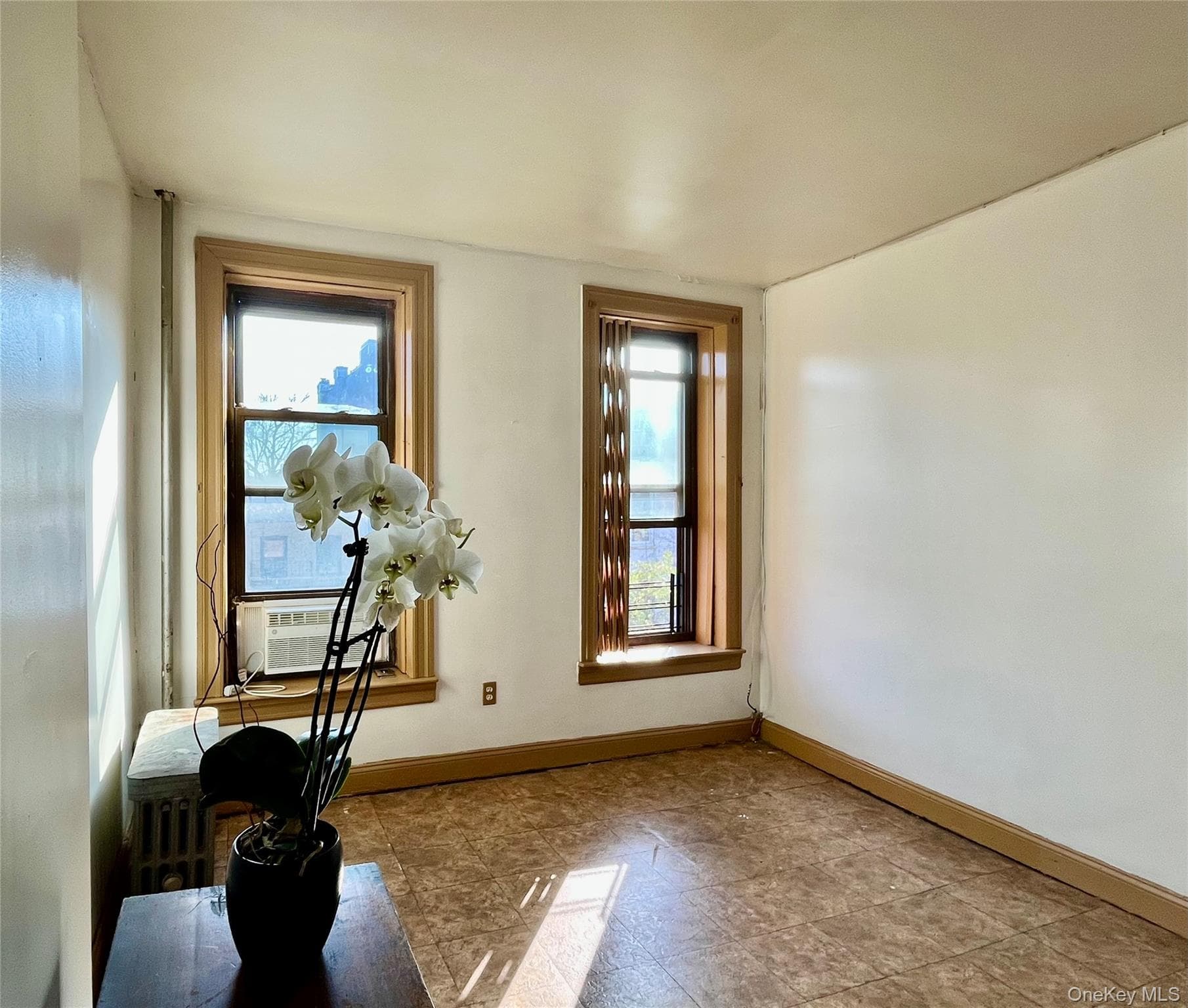 120 Bergen Street St Unit: 5 thumbnail 11