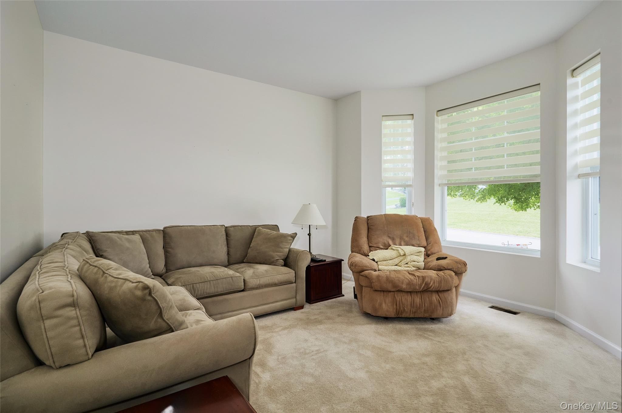 85 Roosevelt Drive thumbnail 25