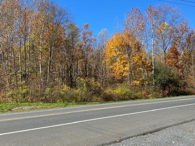 TBD Route 9w photo 1