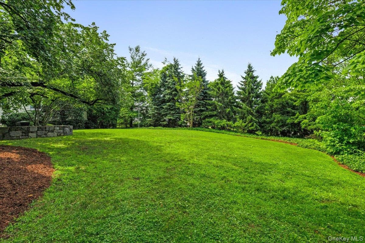 731 Forest Avenue thumbnail 4