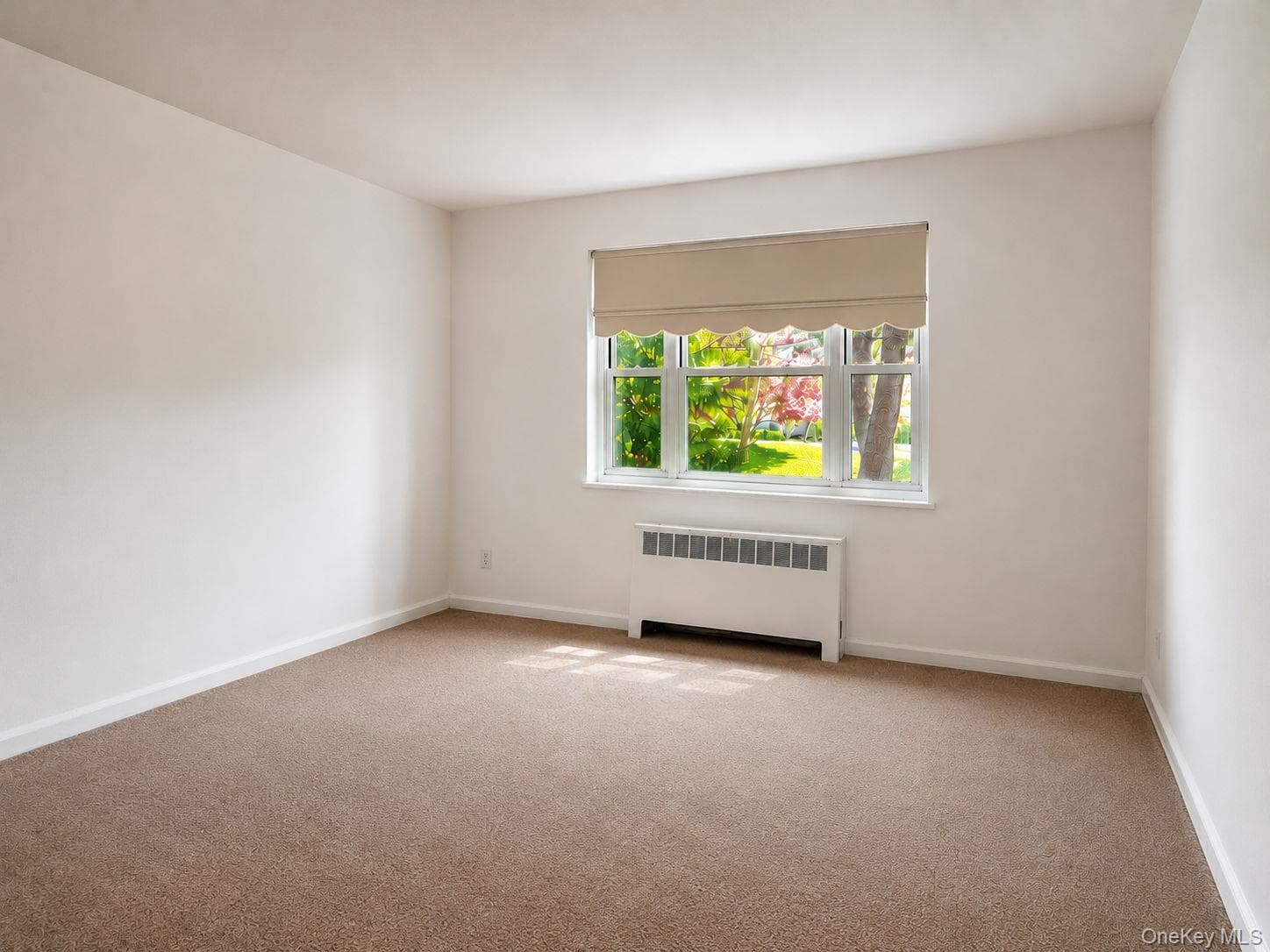 6 Dehaven Drive Unit: 1E thumbnail 13