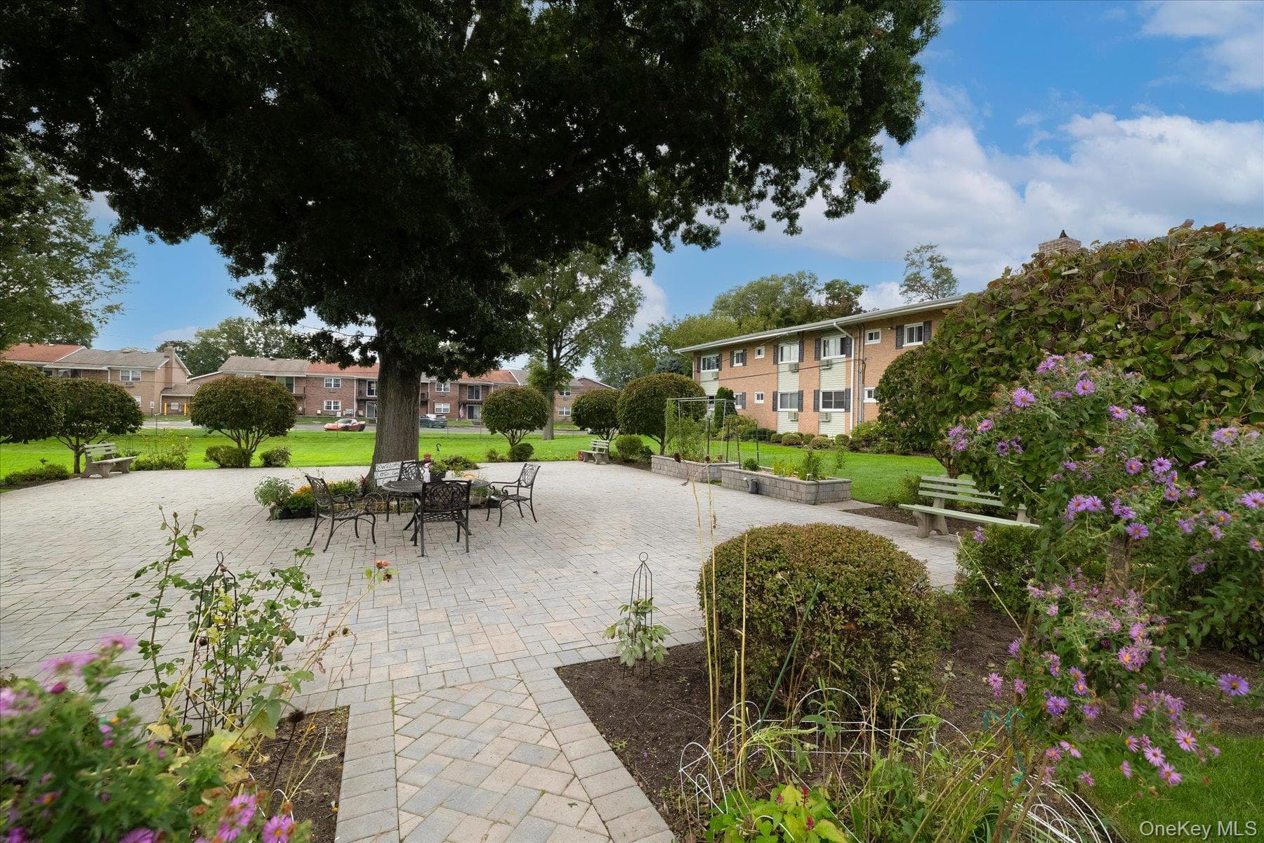 41 Mildred Place Unit: 3B thumbnail 12