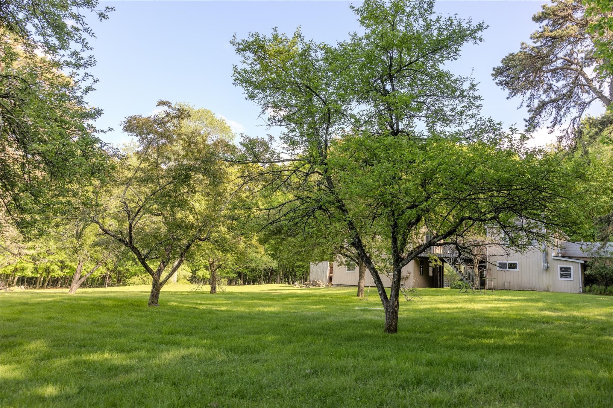 763 County Road 114 thumbnail 22