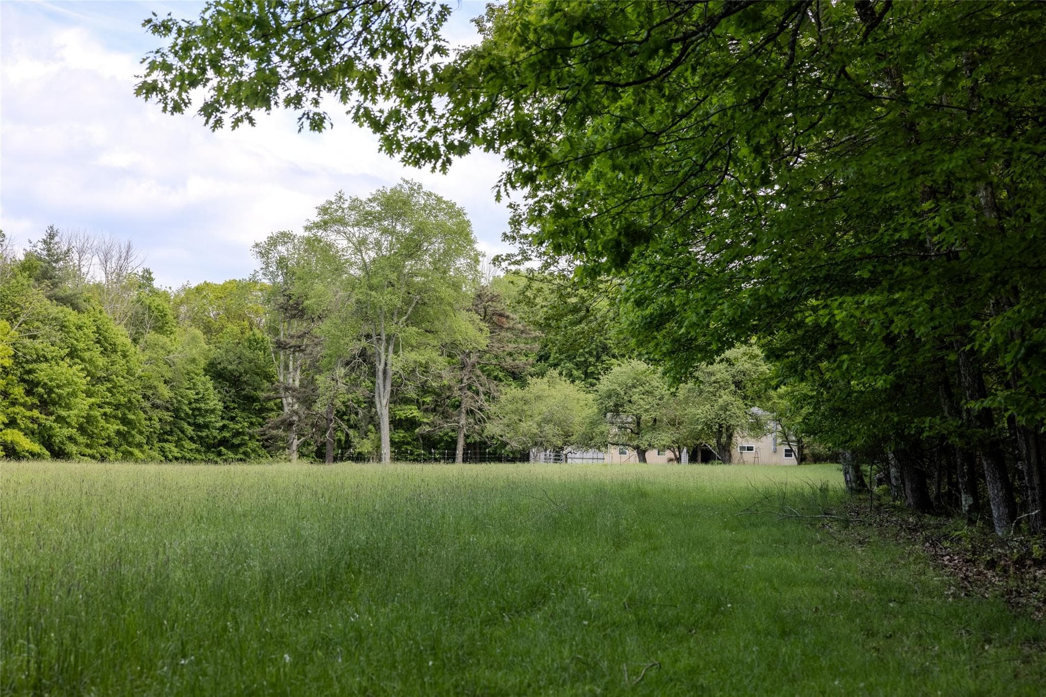 763 County Road 114 thumbnail 14
