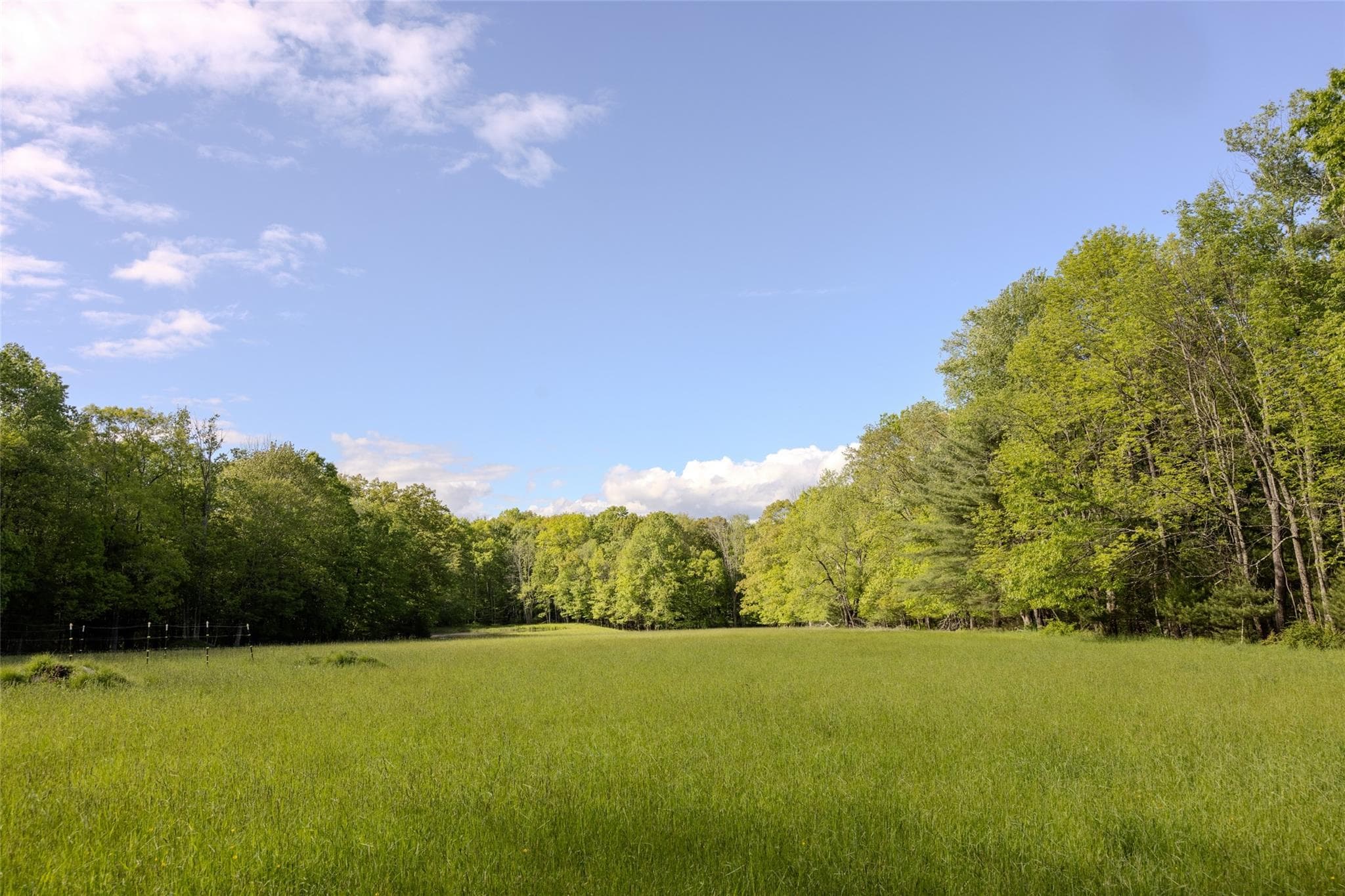 763 County Road 114 thumbnail 25