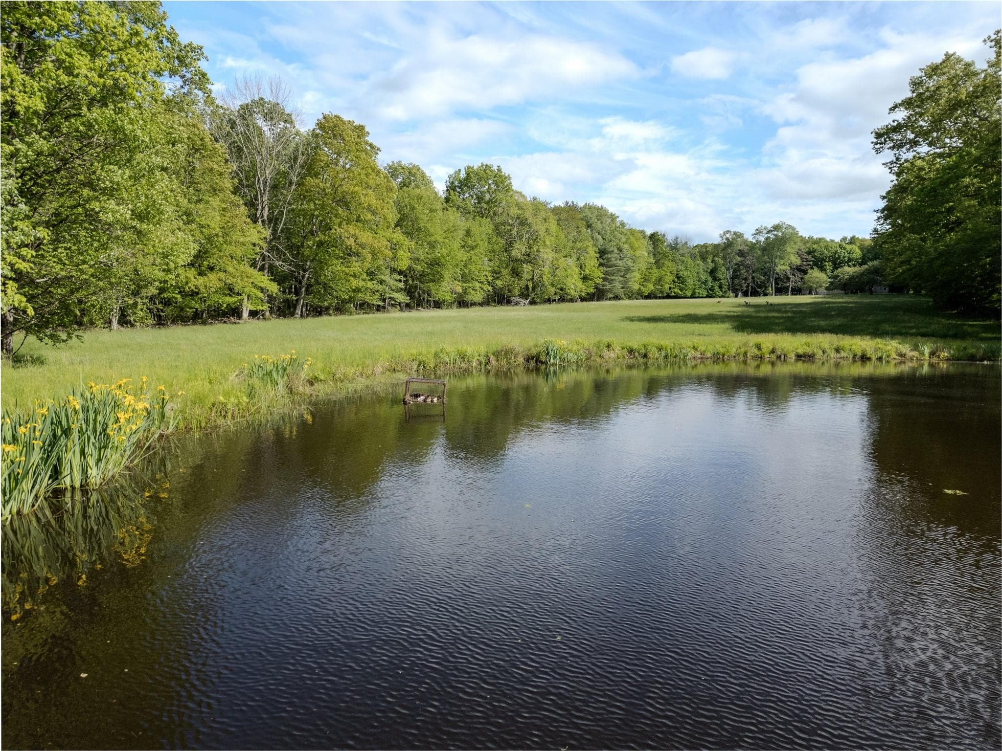 763 County Road 114 thumbnail 9