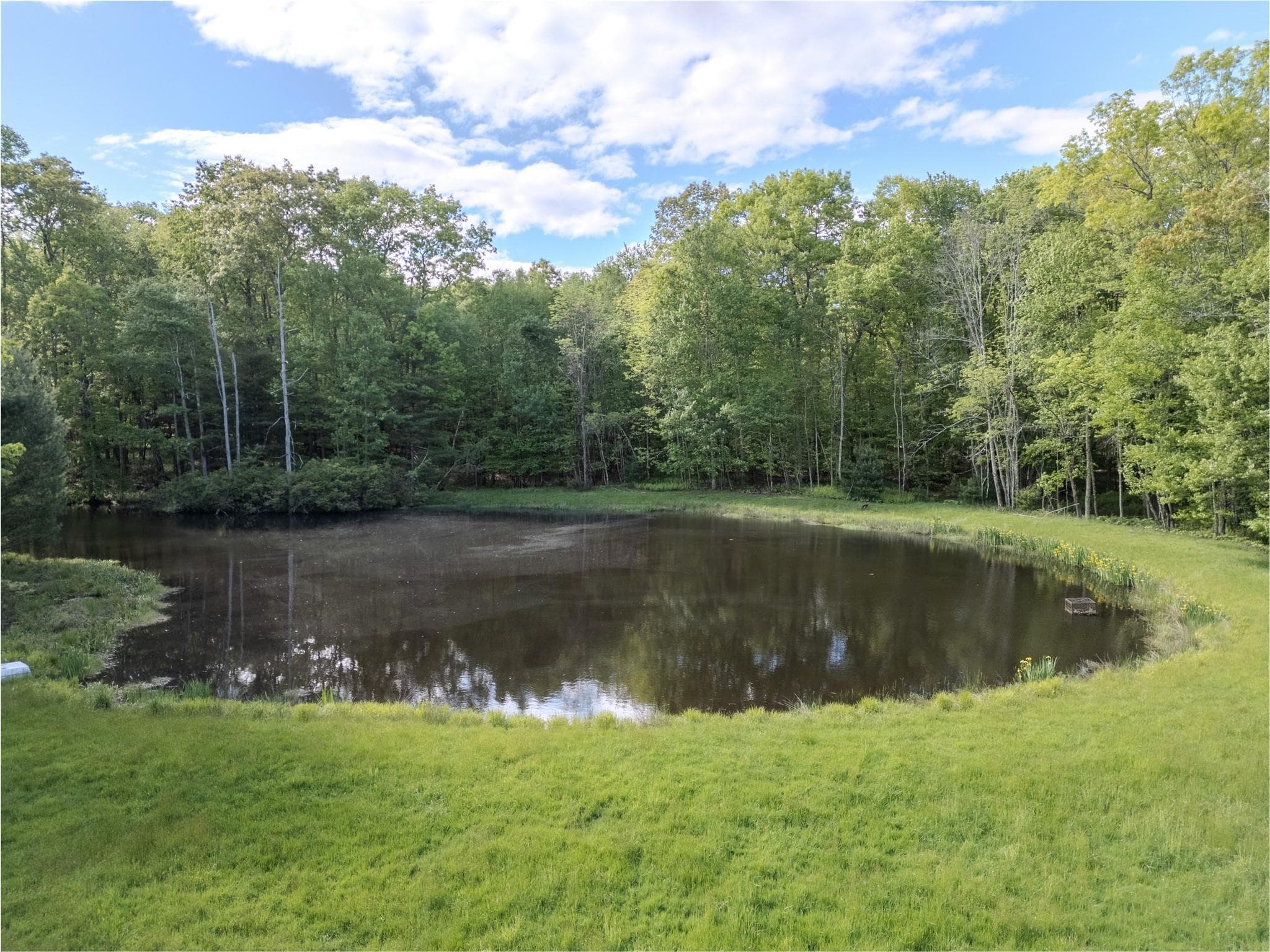 763 County Road 114 thumbnail 7