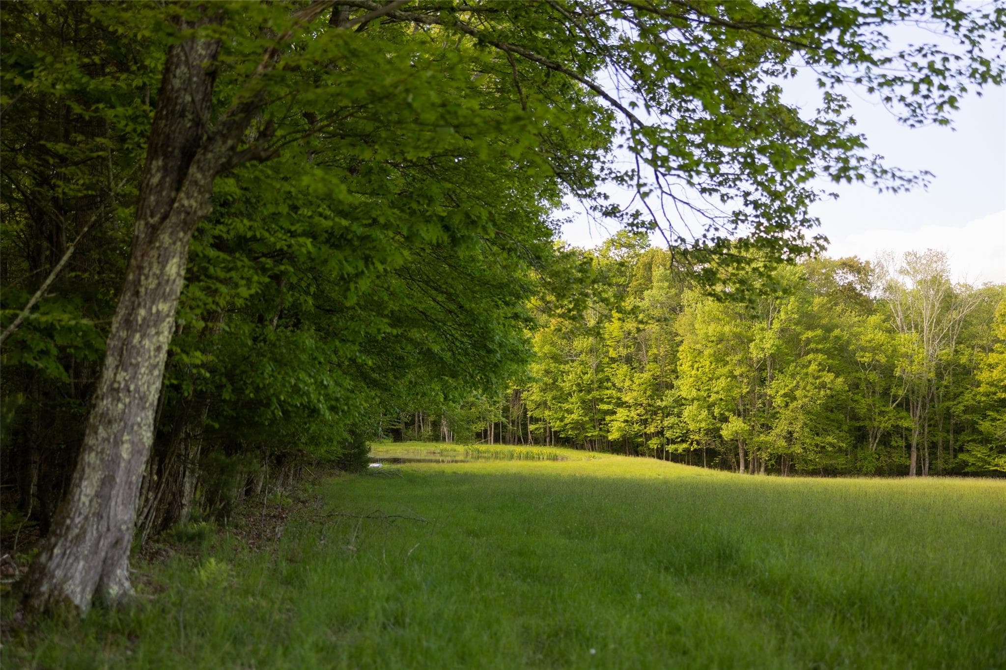 763 County Road 114 thumbnail 18