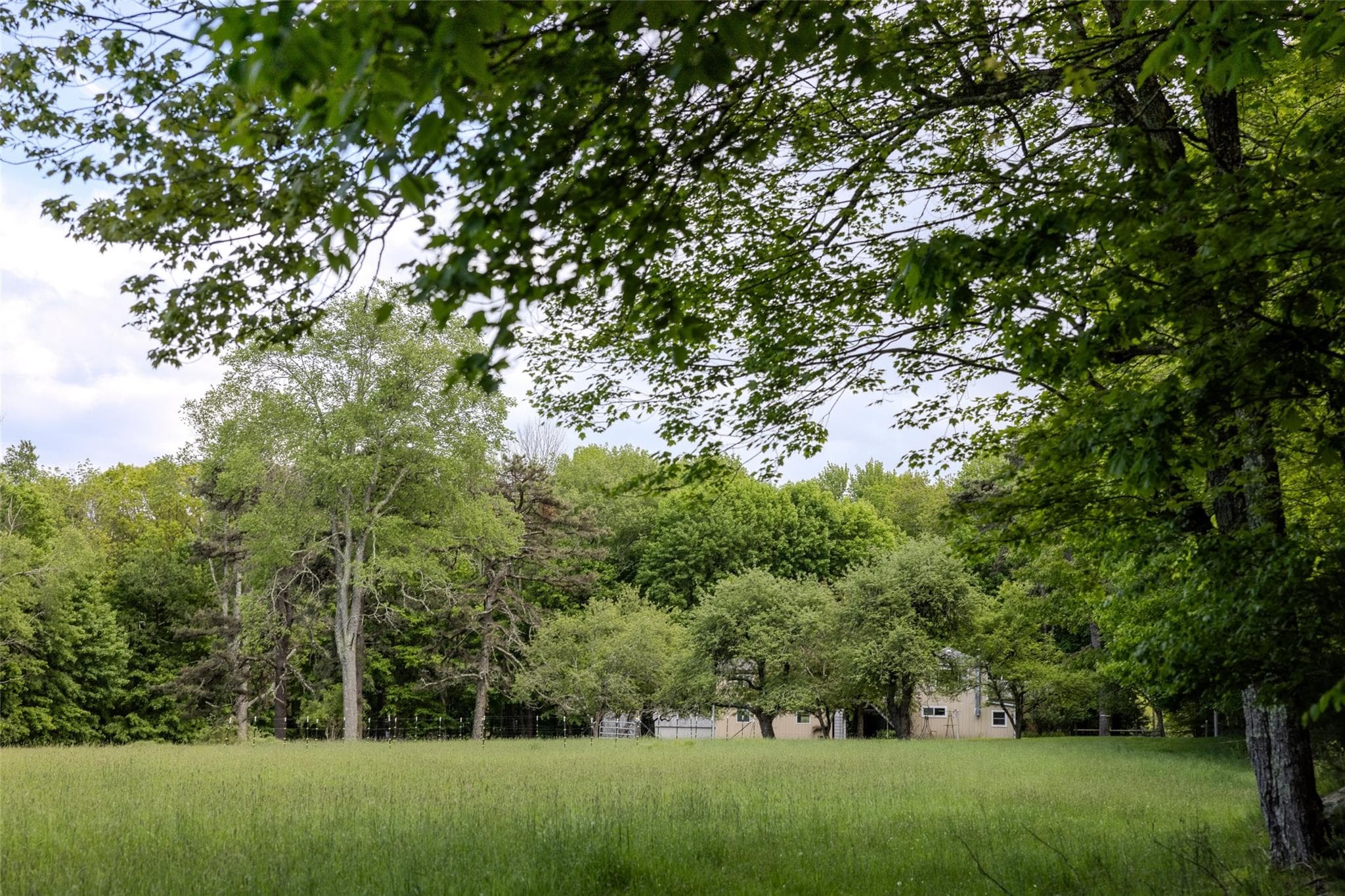 763 County Road 114 thumbnail 15