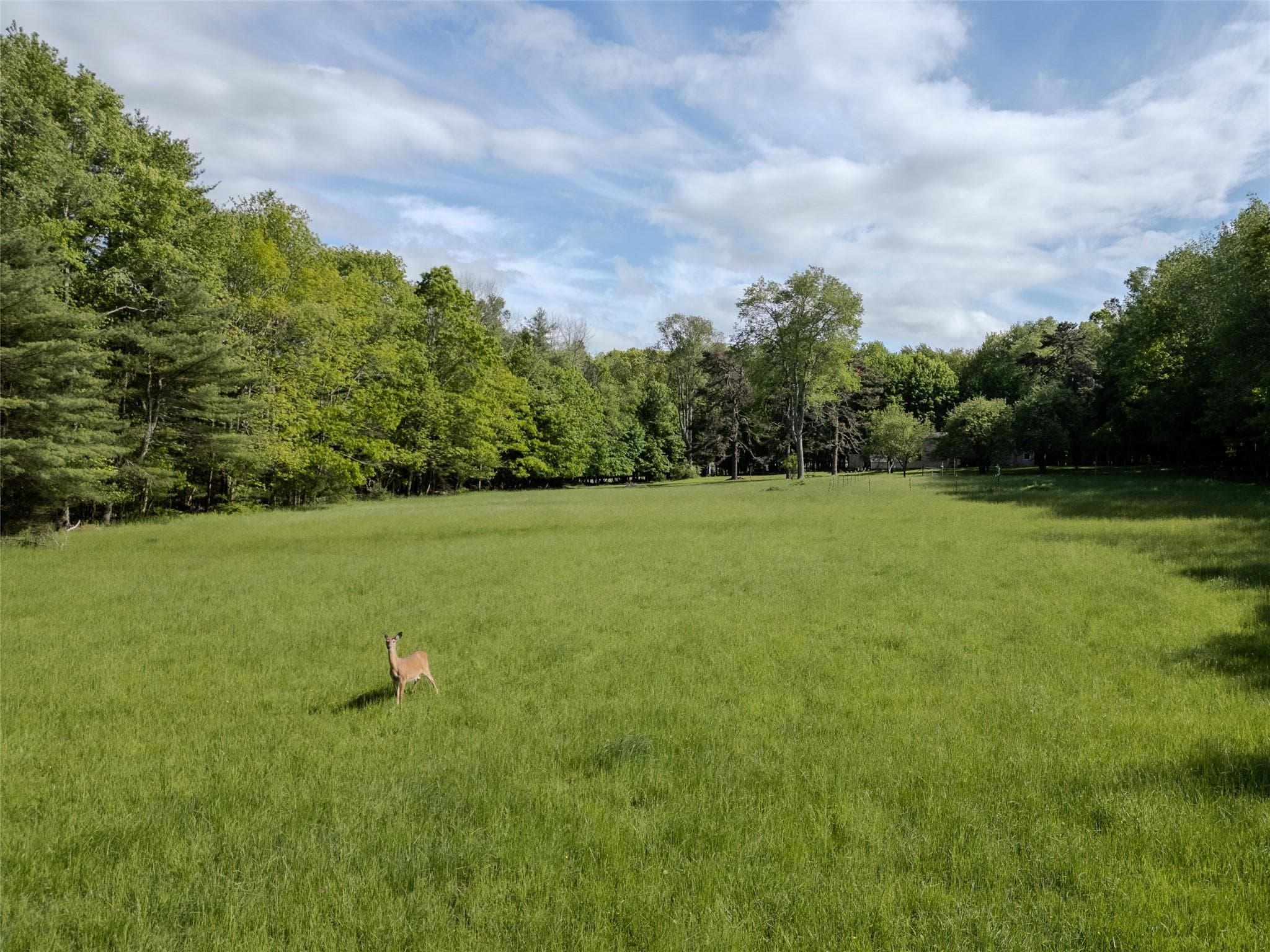 763 County Road 114 thumbnail 17