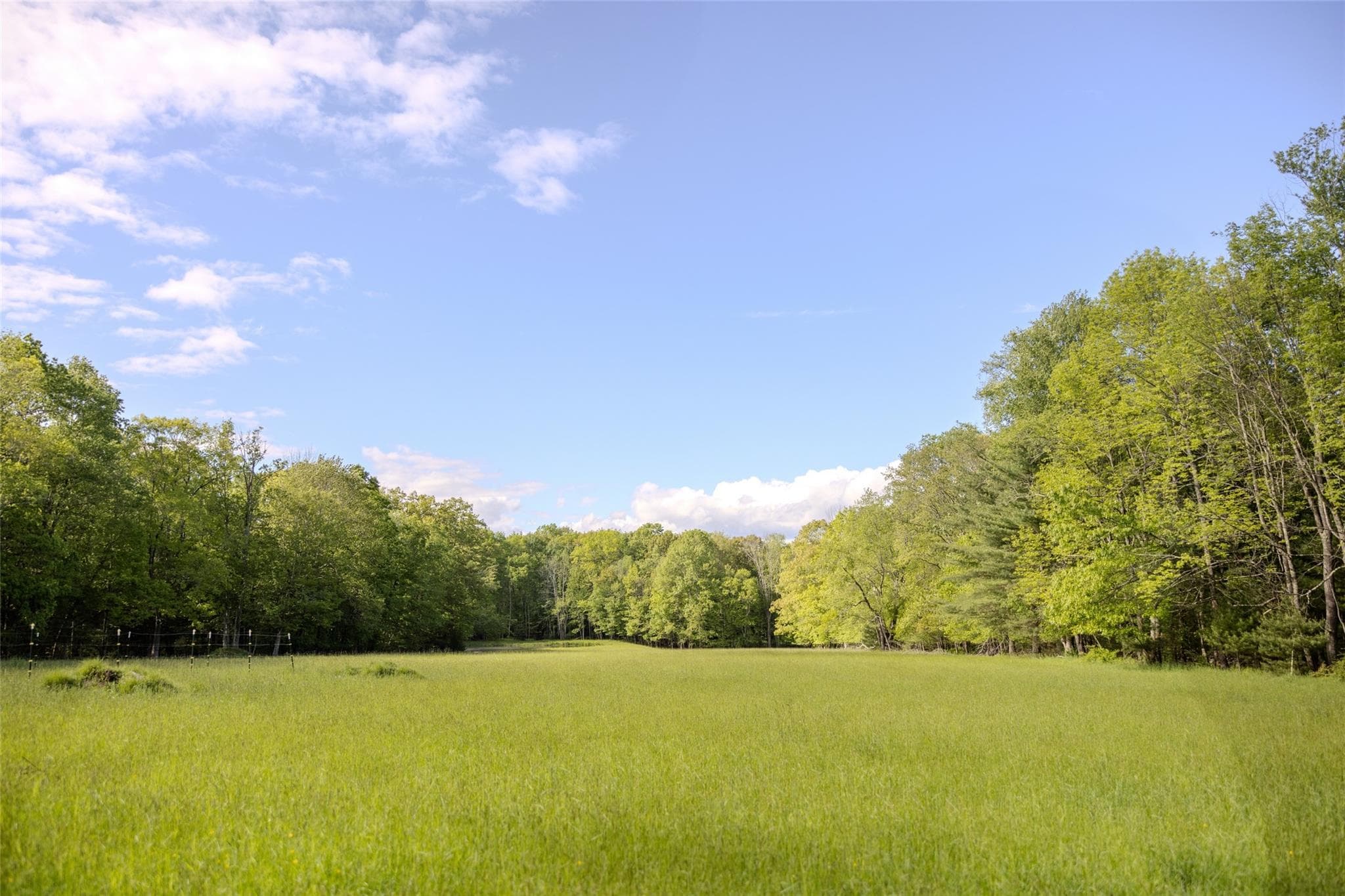 763 County Road 114 thumbnail 24