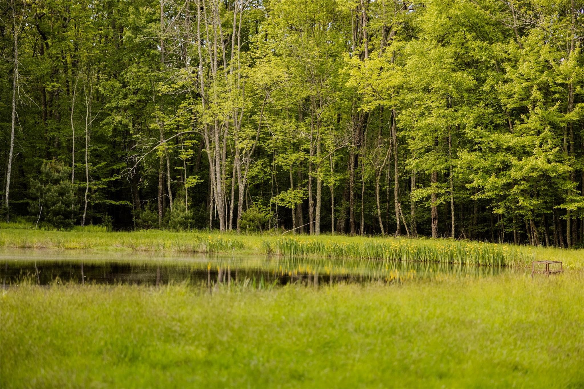 763 County Road 114 thumbnail 12