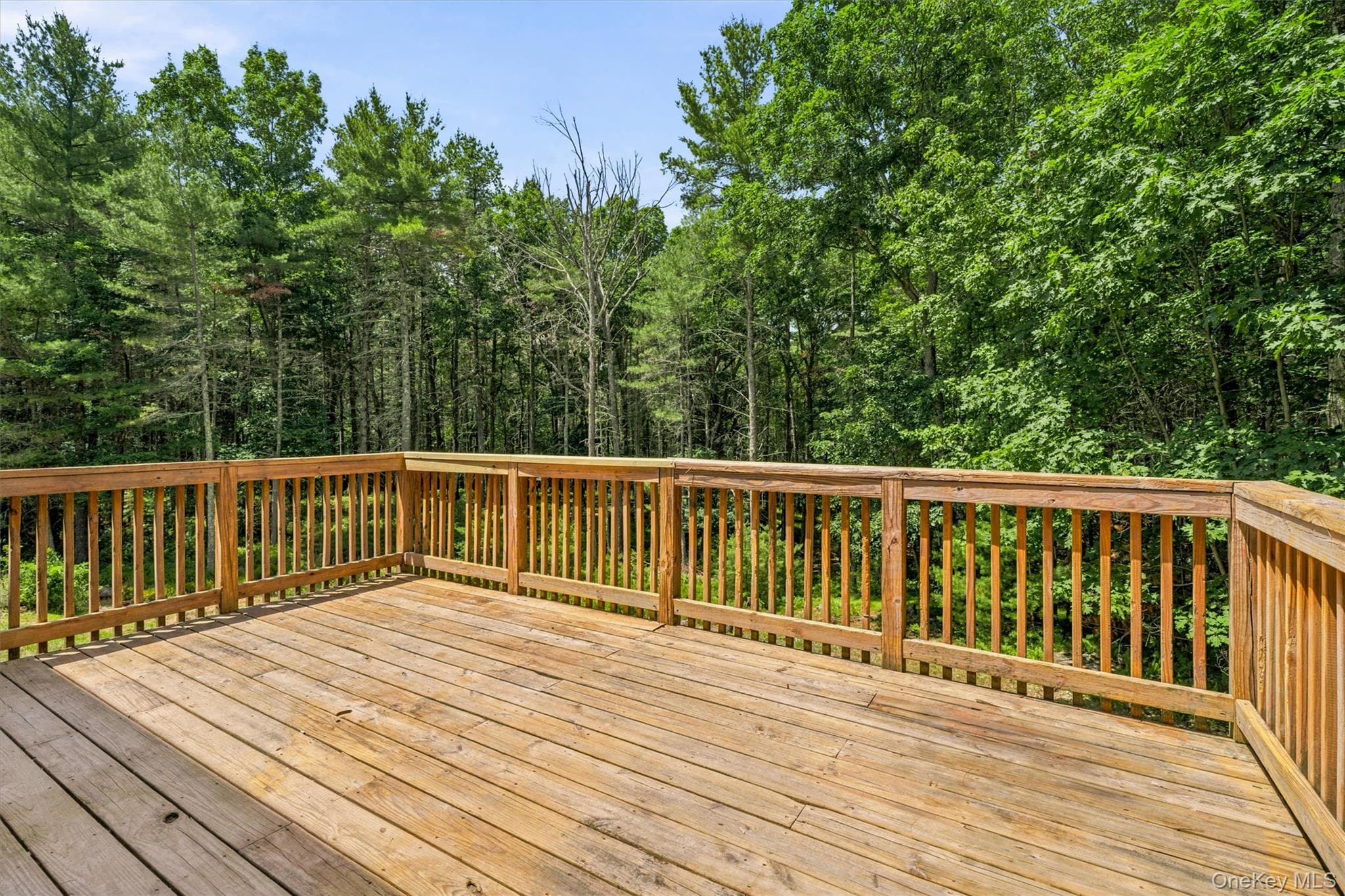 142 Split Rock Drive thumbnail 19