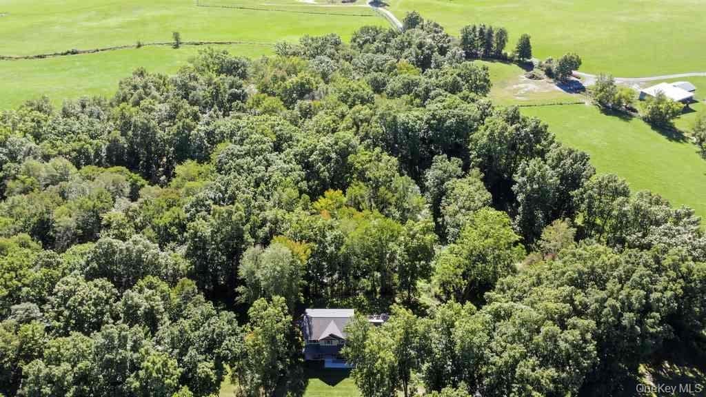 25 Pirog Road thumbnail 47