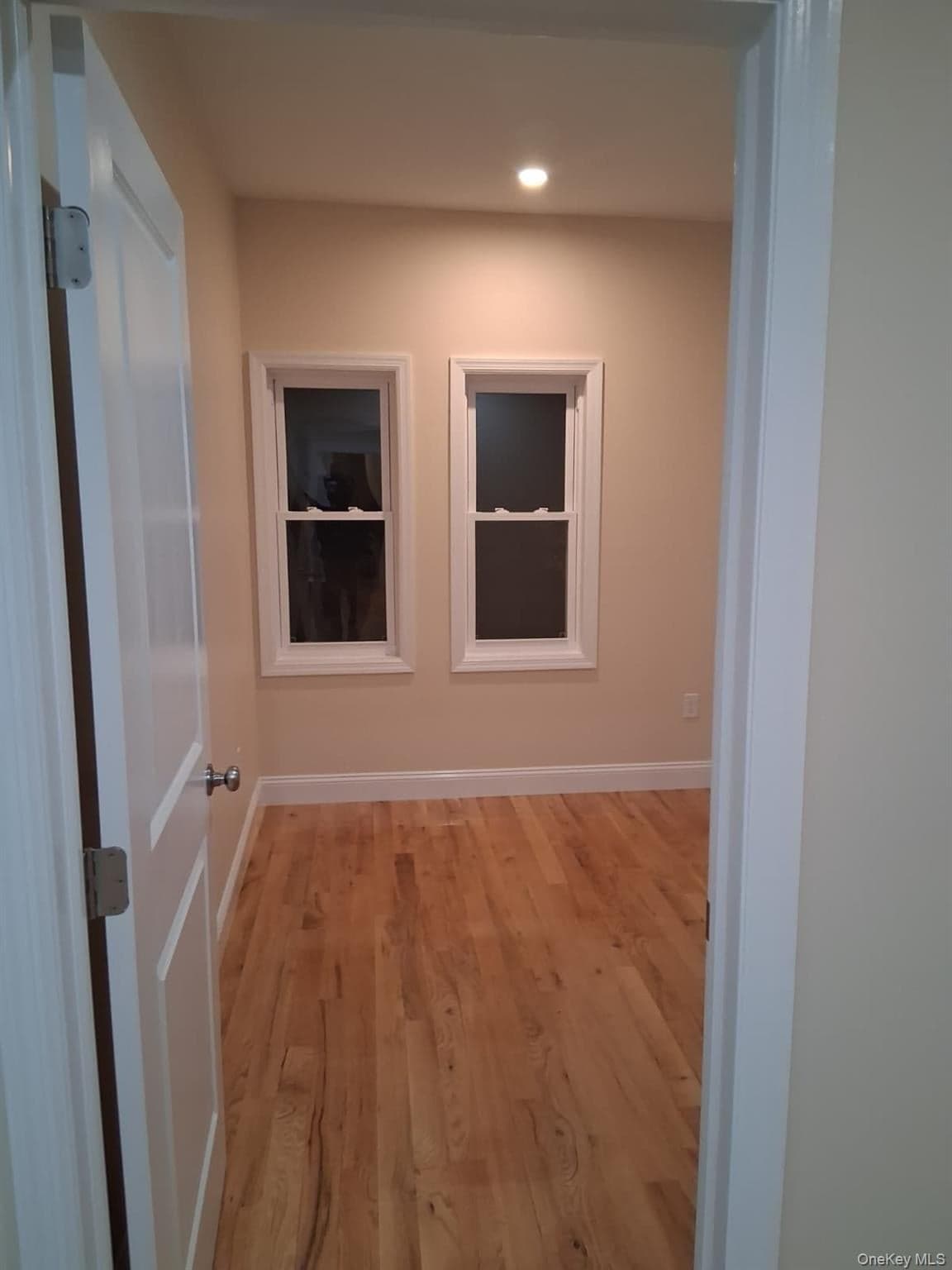 601 E 226th Street thumbnail 26