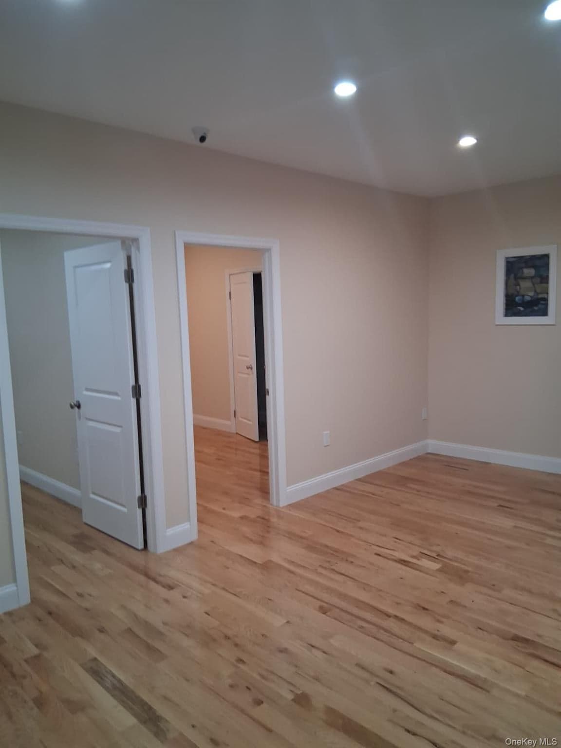 601 E 226th Street thumbnail 24