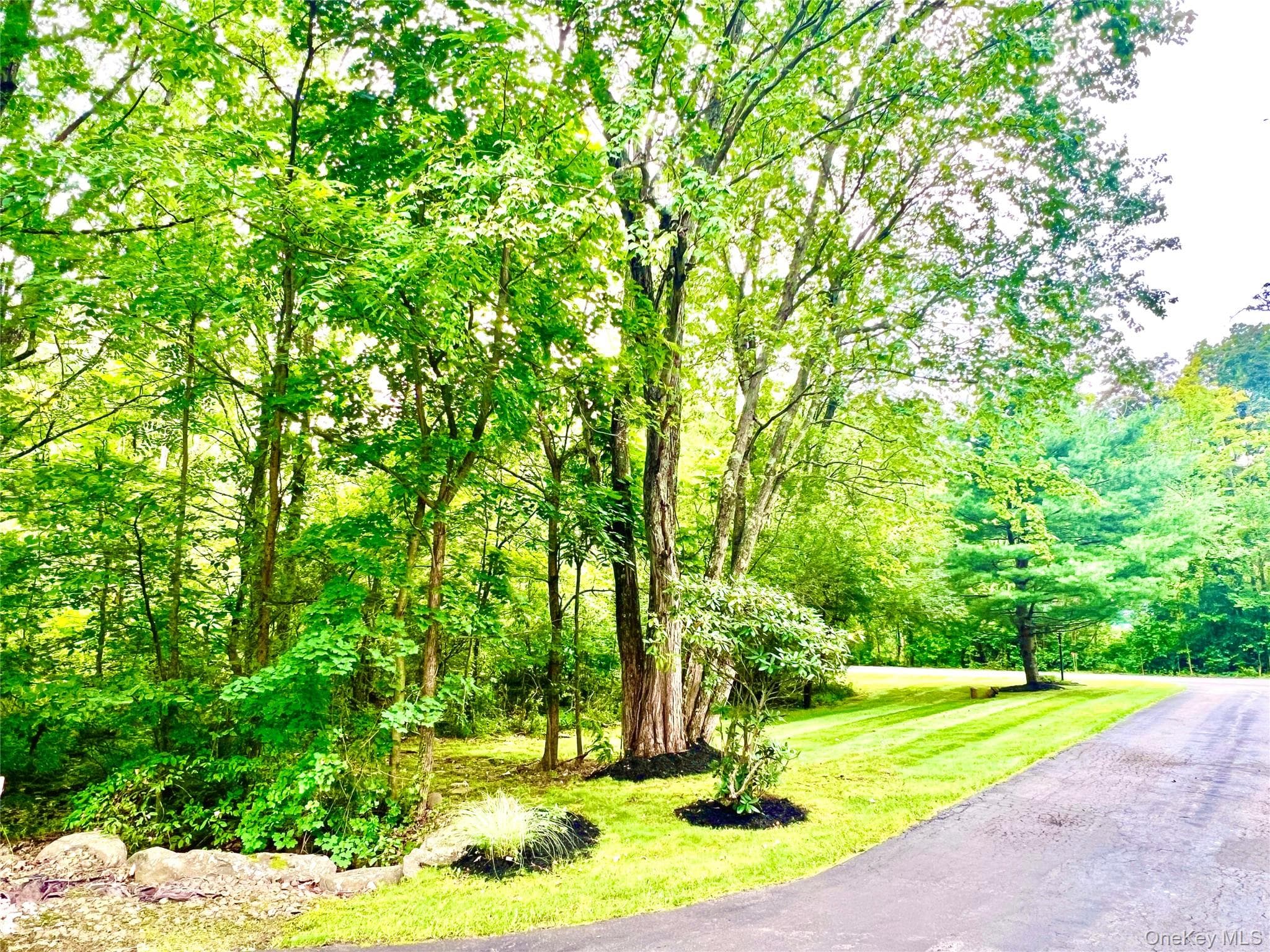 50 Cocoa Lane thumbnail 32
