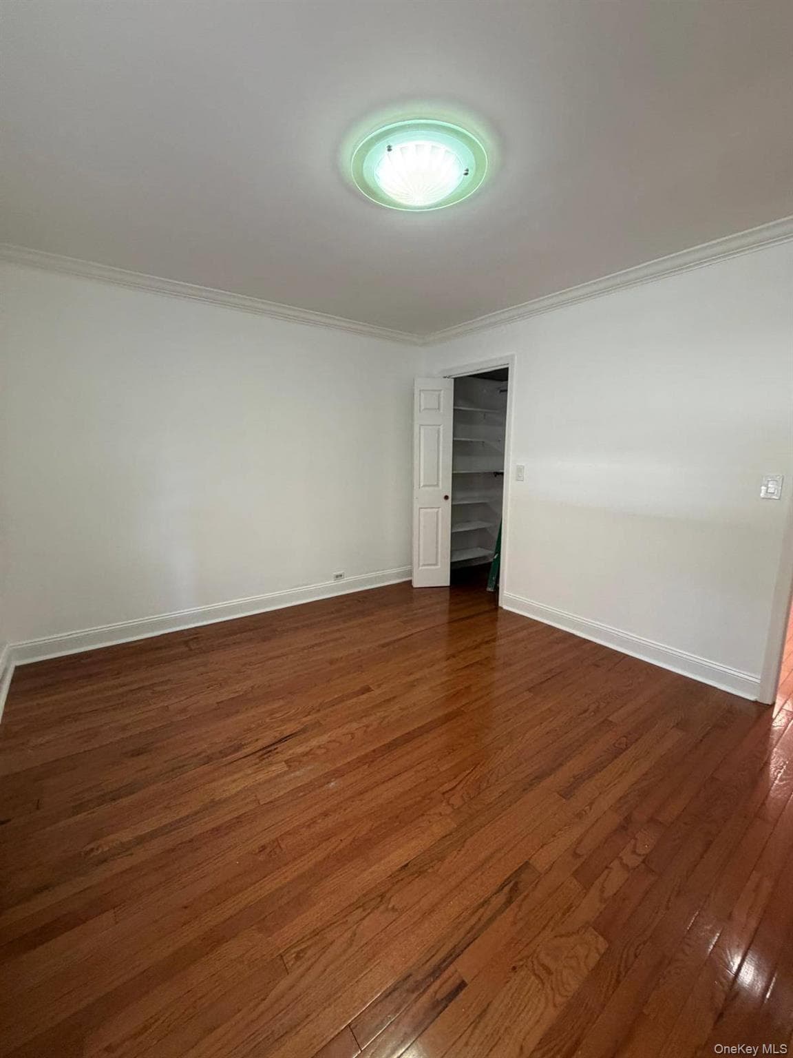 42-02 Layton Street Unit: 106 thumbnail 15