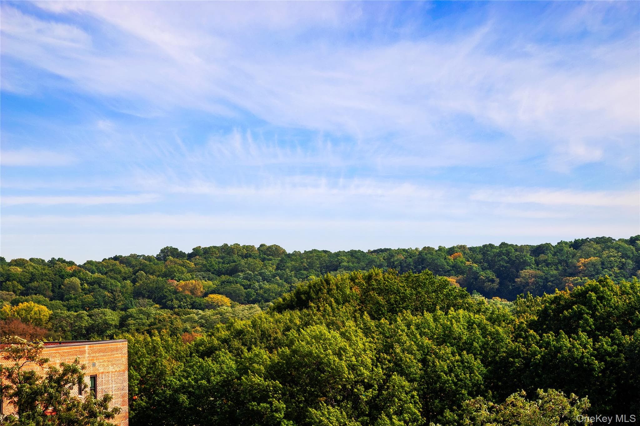 4414 Cayuga Avenue Unit: 1D thumbnail 3