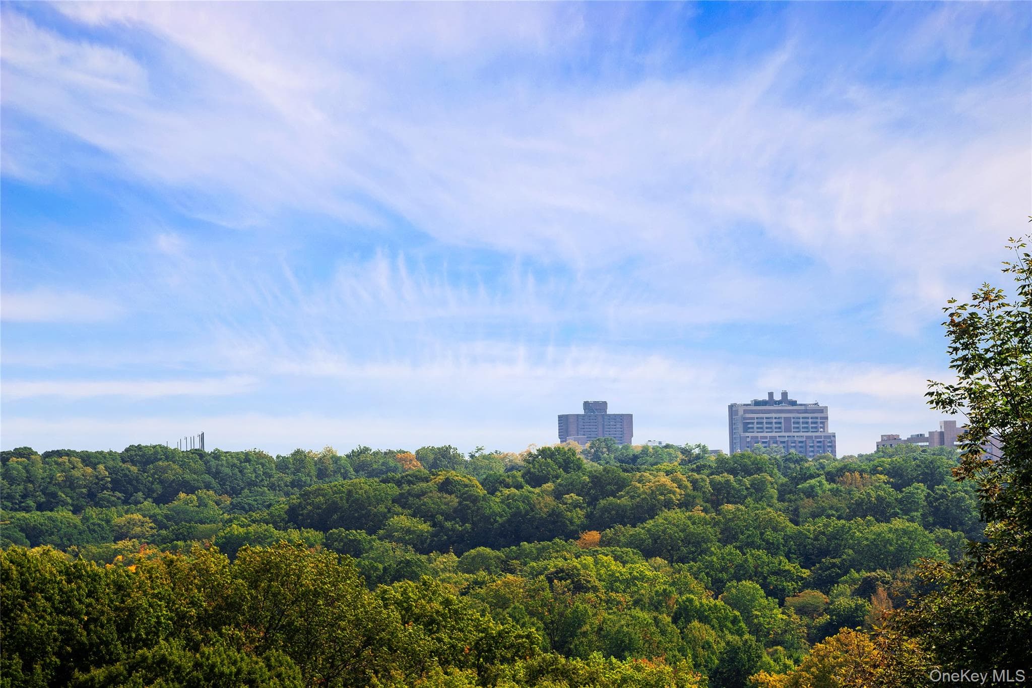 4414 Cayuga Avenue Unit: 1D thumbnail 4