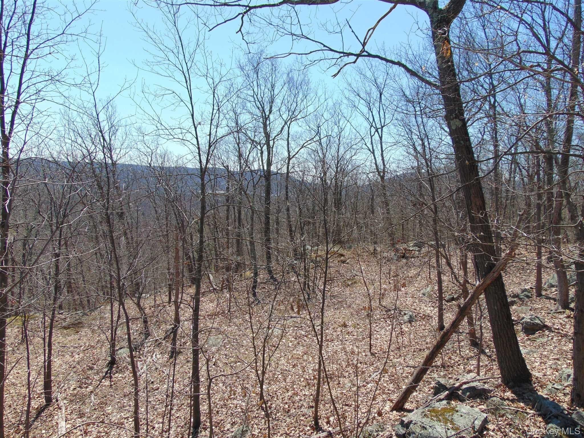 382 Cedar Hill Road thumbnail 8