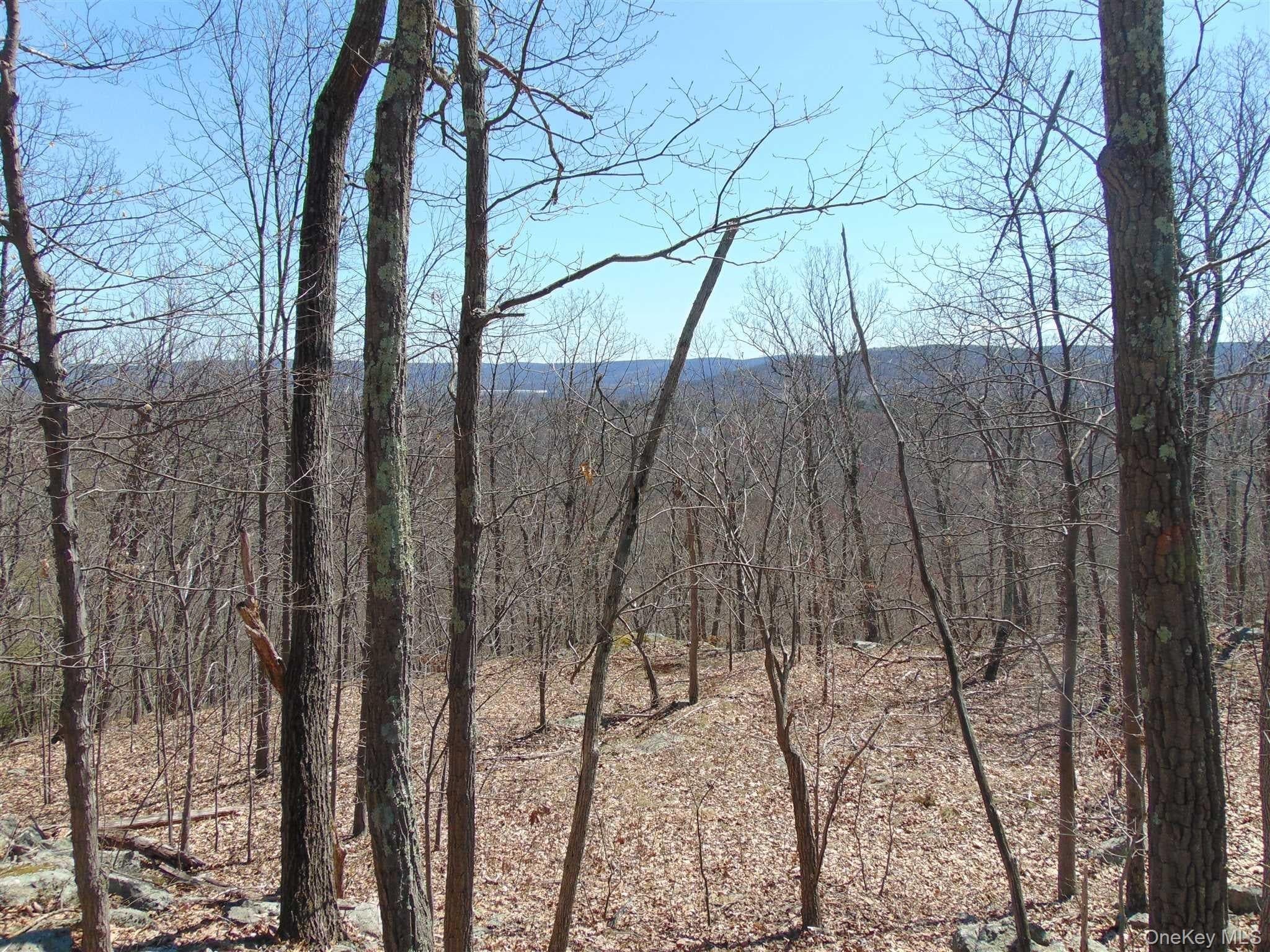 382 Cedar Hill Road thumbnail 4