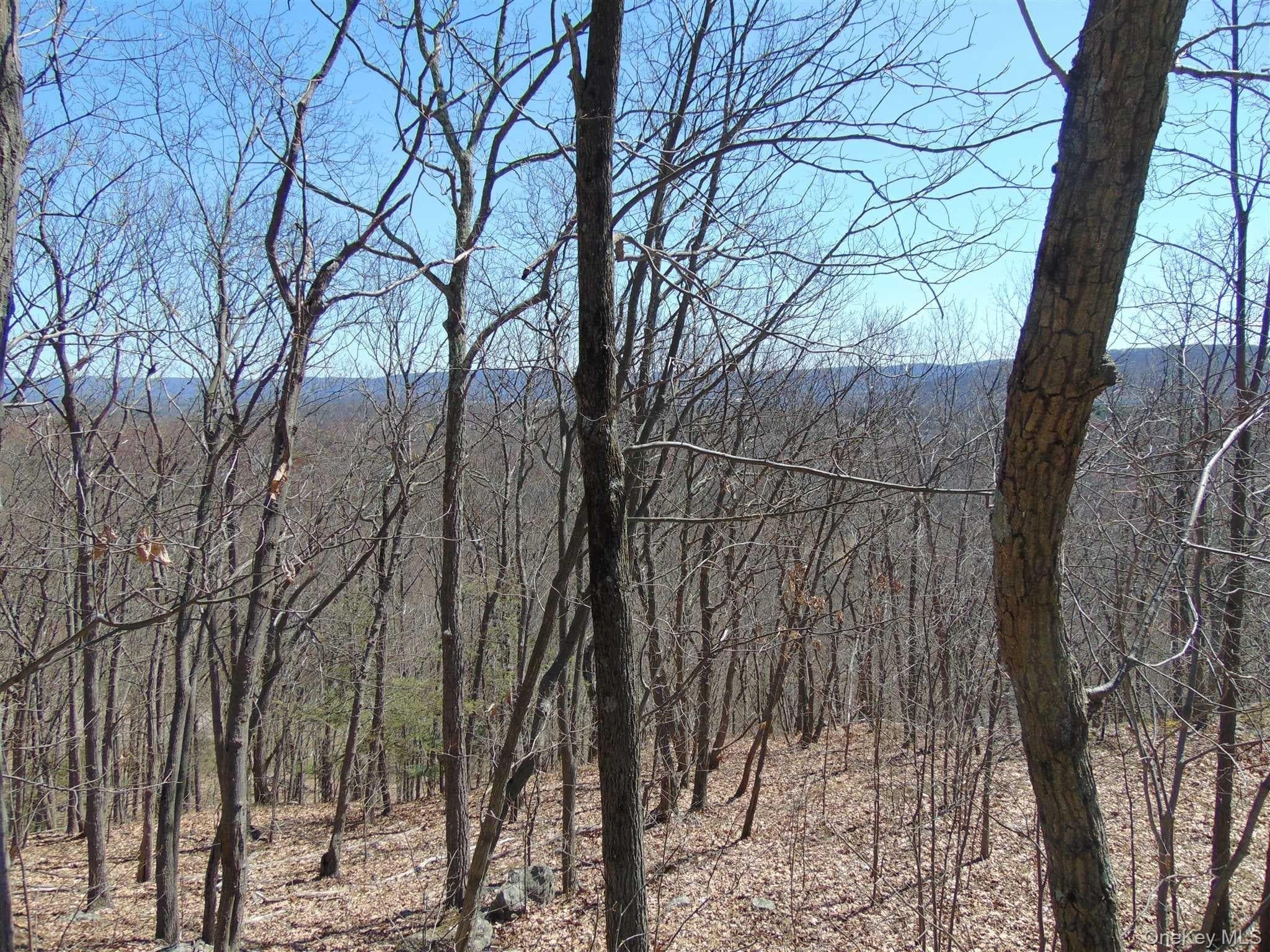 382 Cedar Hill Road thumbnail 10