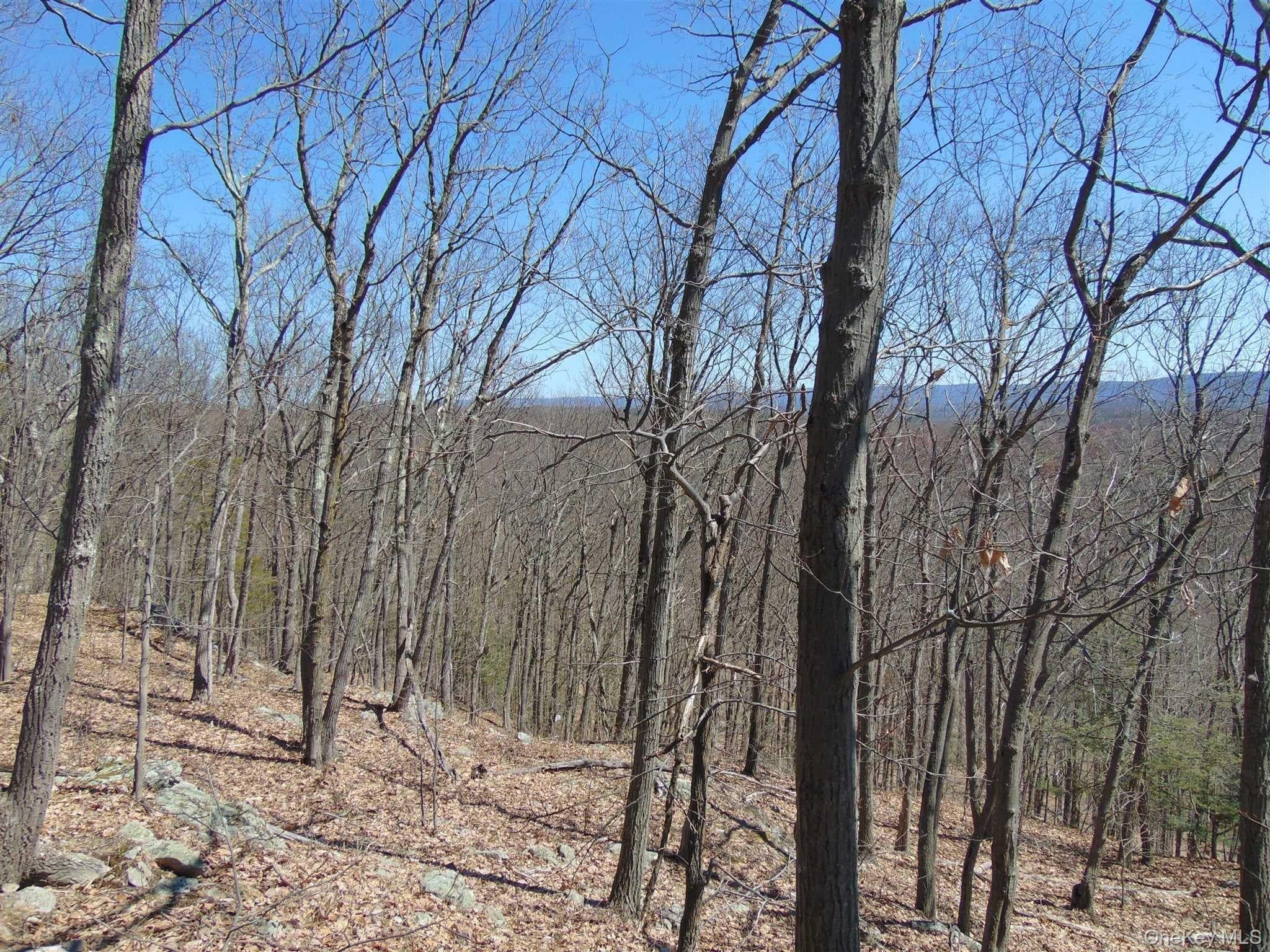 382 Cedar Hill Road thumbnail 11