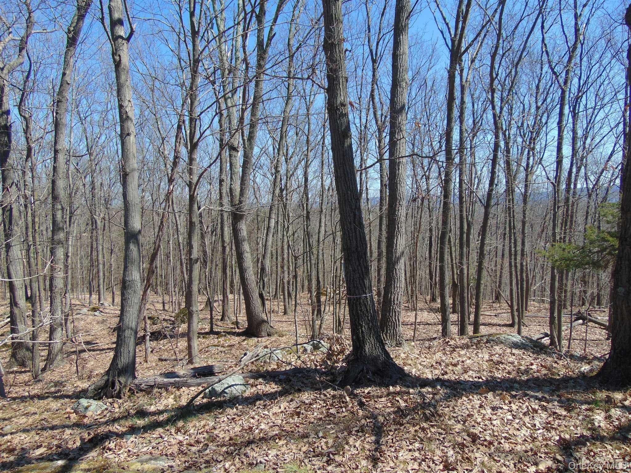 382 Cedar Hill Road thumbnail 15