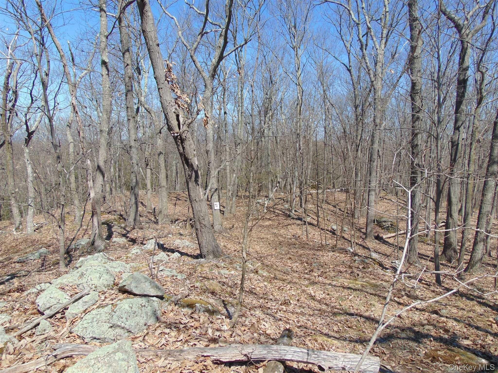 382 Cedar Hill Road thumbnail 13