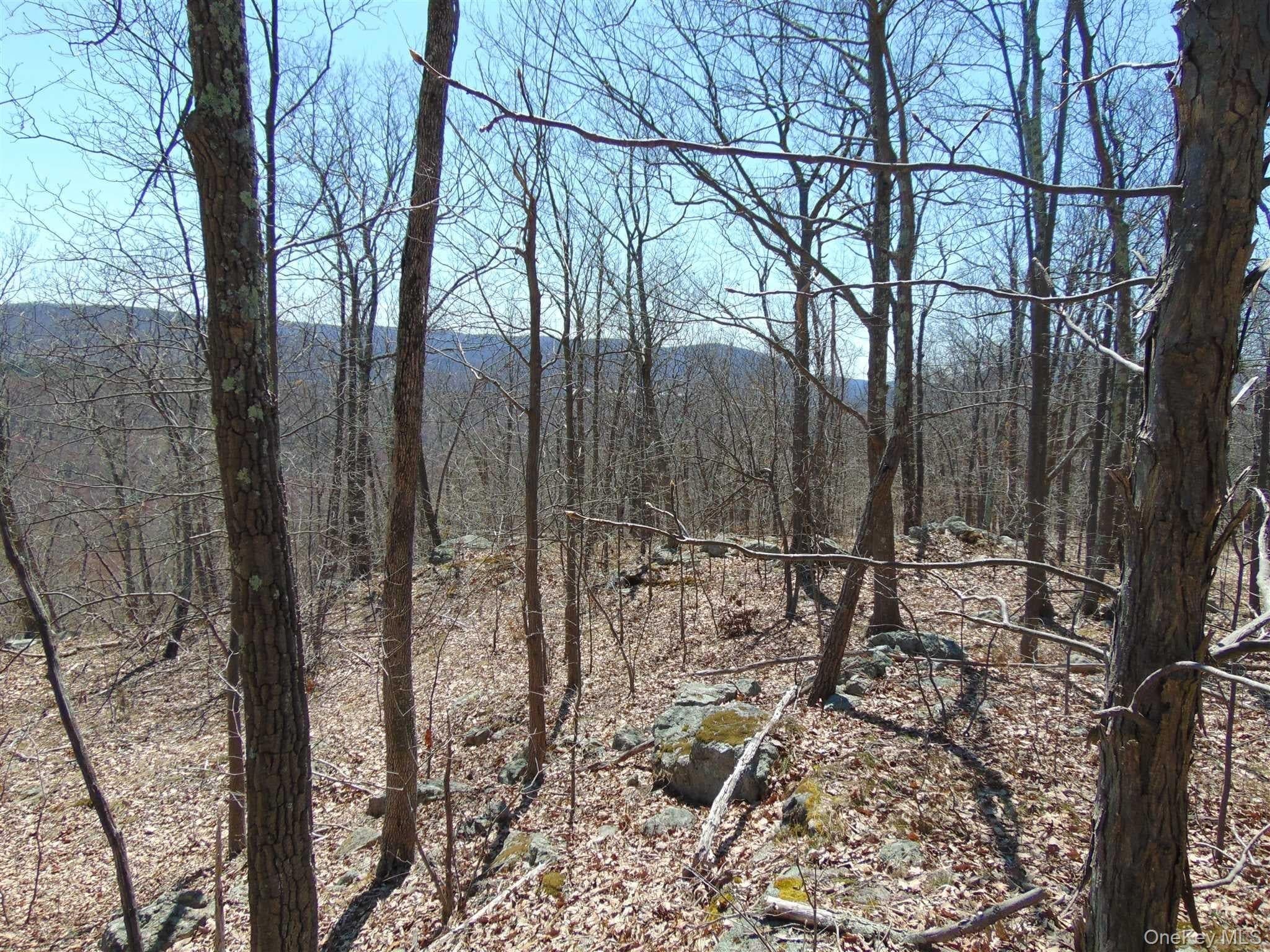 382 Cedar Hill Road thumbnail 7