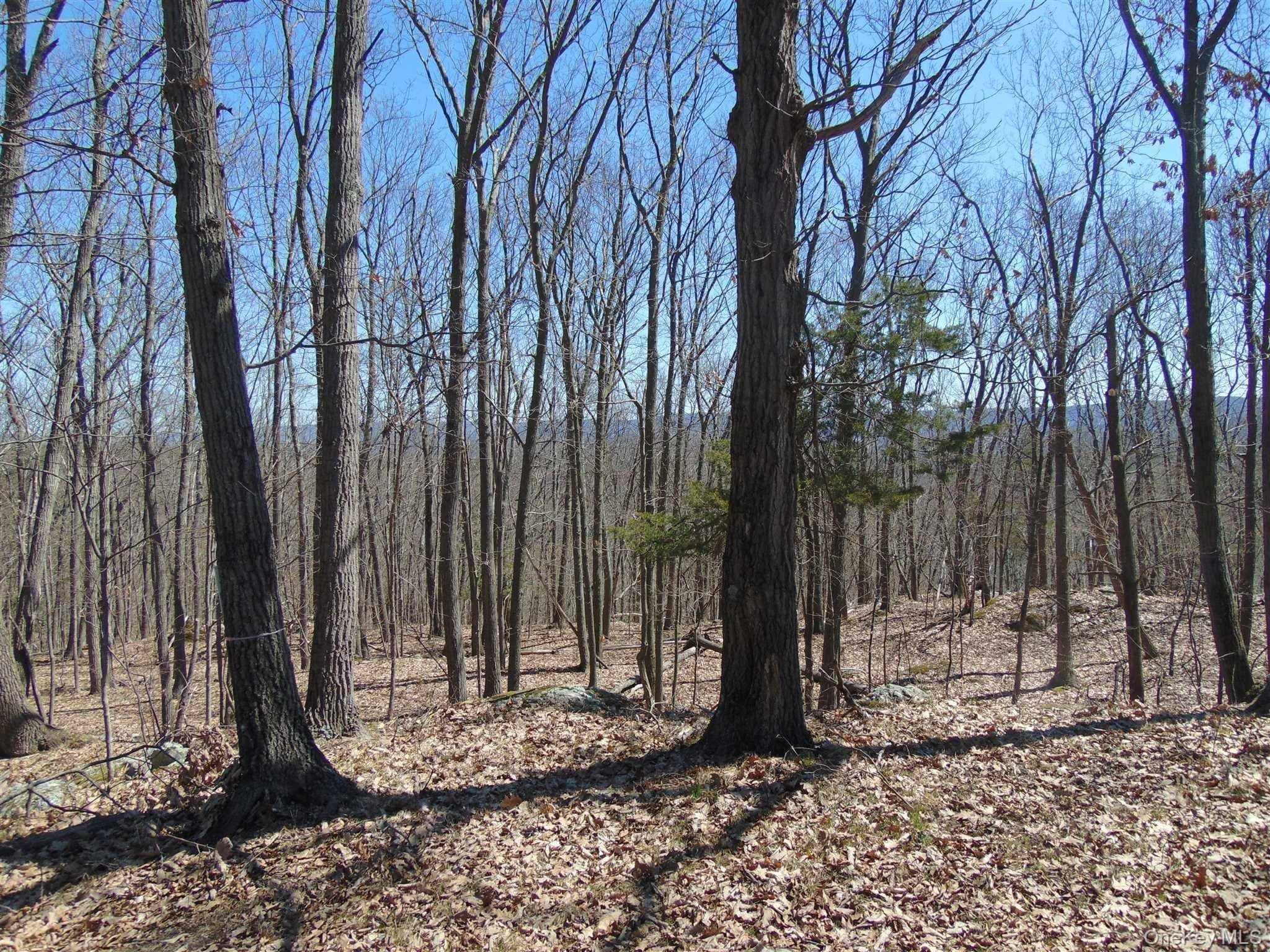 382 Cedar Hill Road thumbnail 16