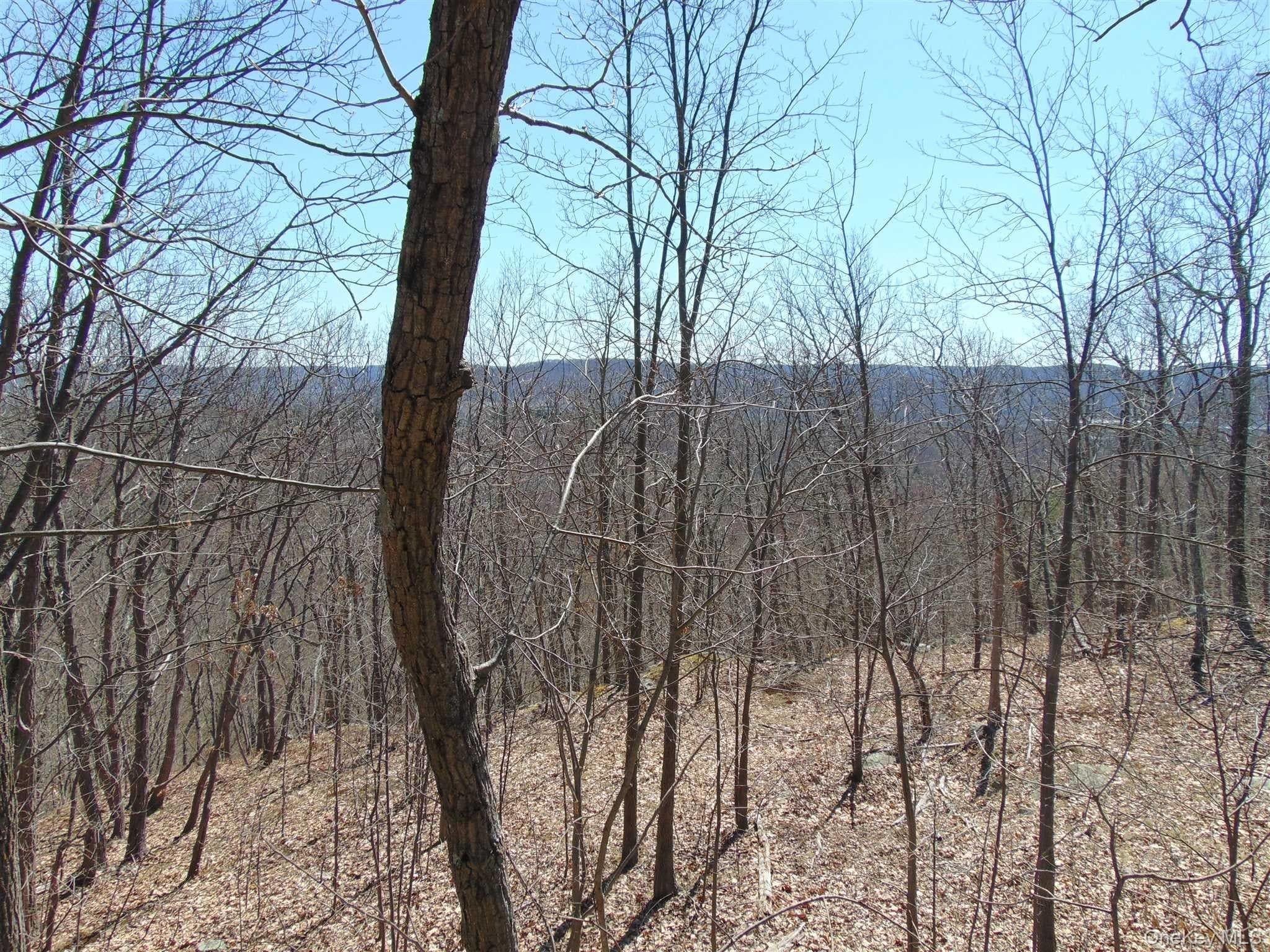 382 Cedar Hill Road thumbnail 9