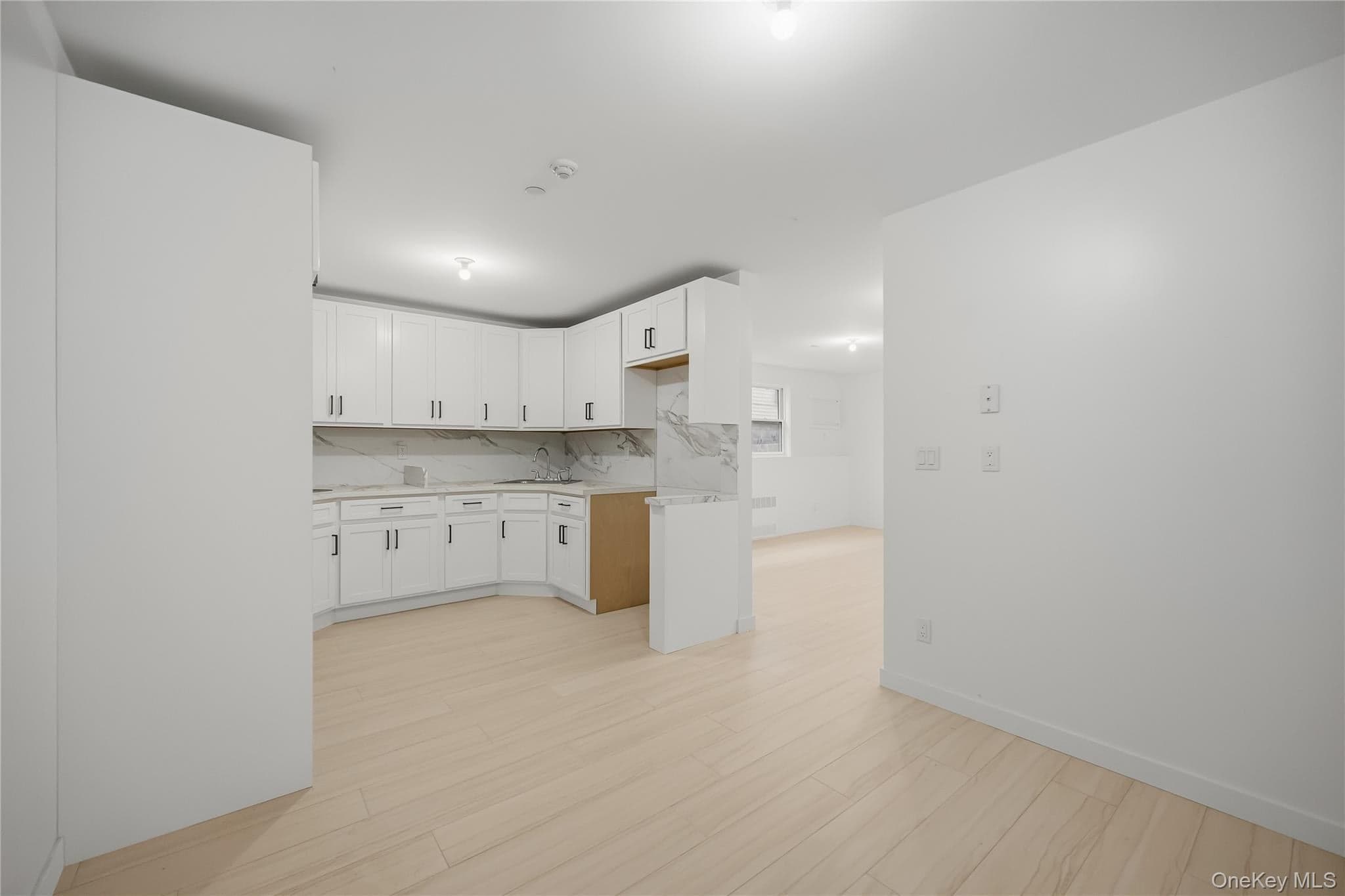 27 Ewing Avenue Unit: 201 thumbnail 38