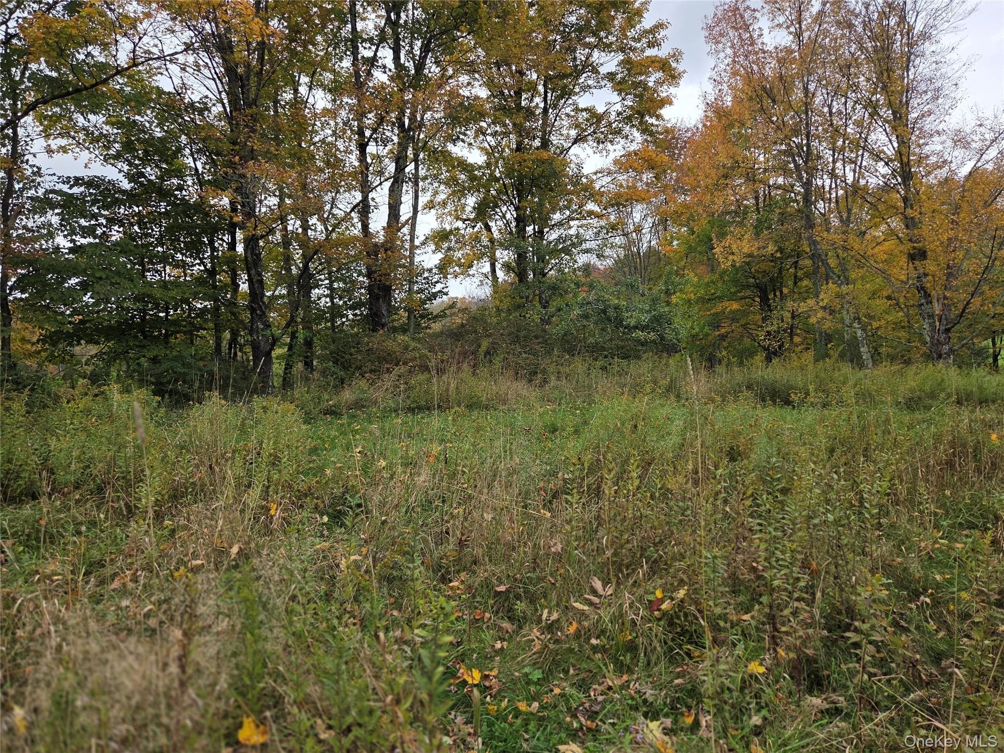 Lot #21 Herbert Road thumbnail 7