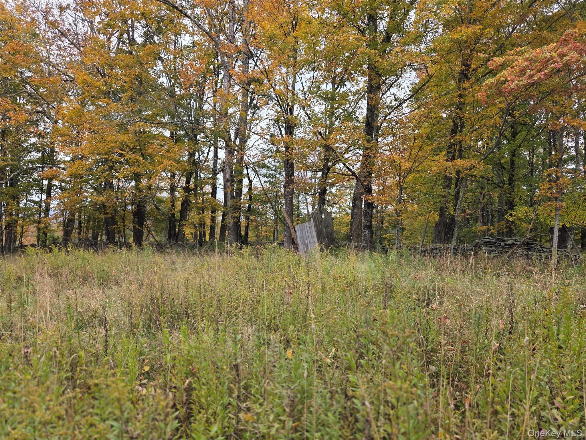 Lot #21 Herbert Road thumbnail 6