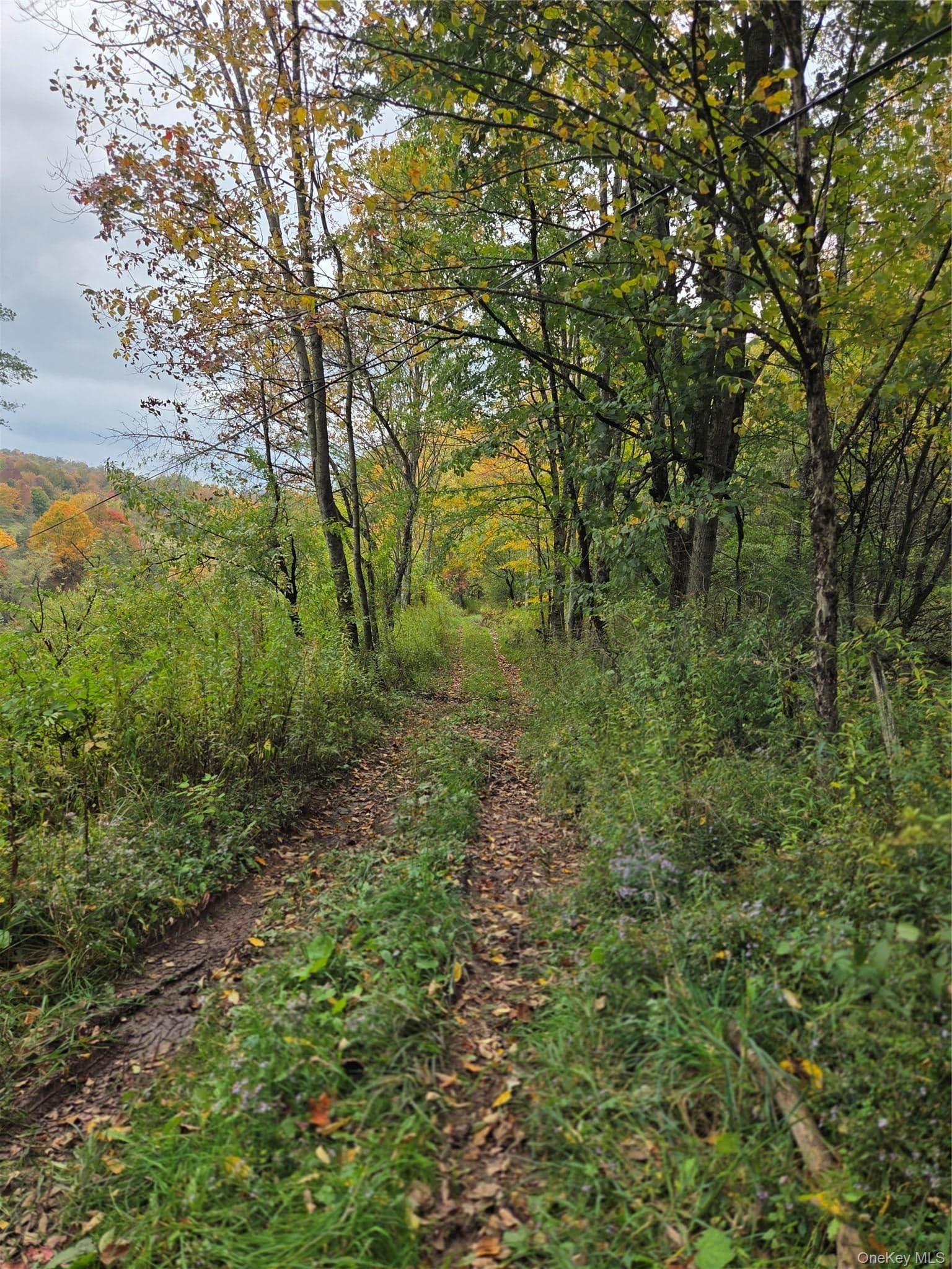 Lot #21 Herbert Road thumbnail 3