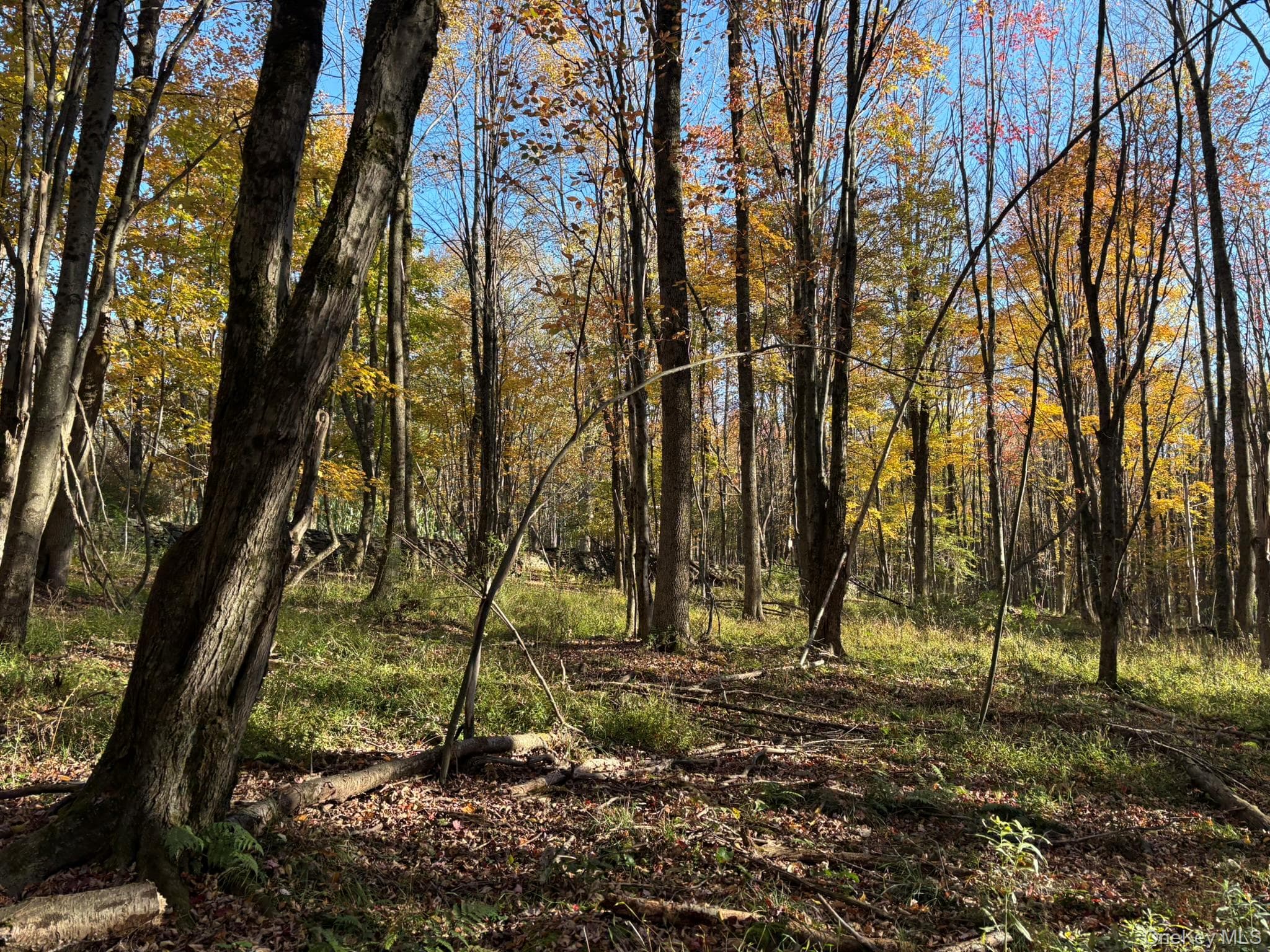 Row Off Chaffee Road thumbnail 8