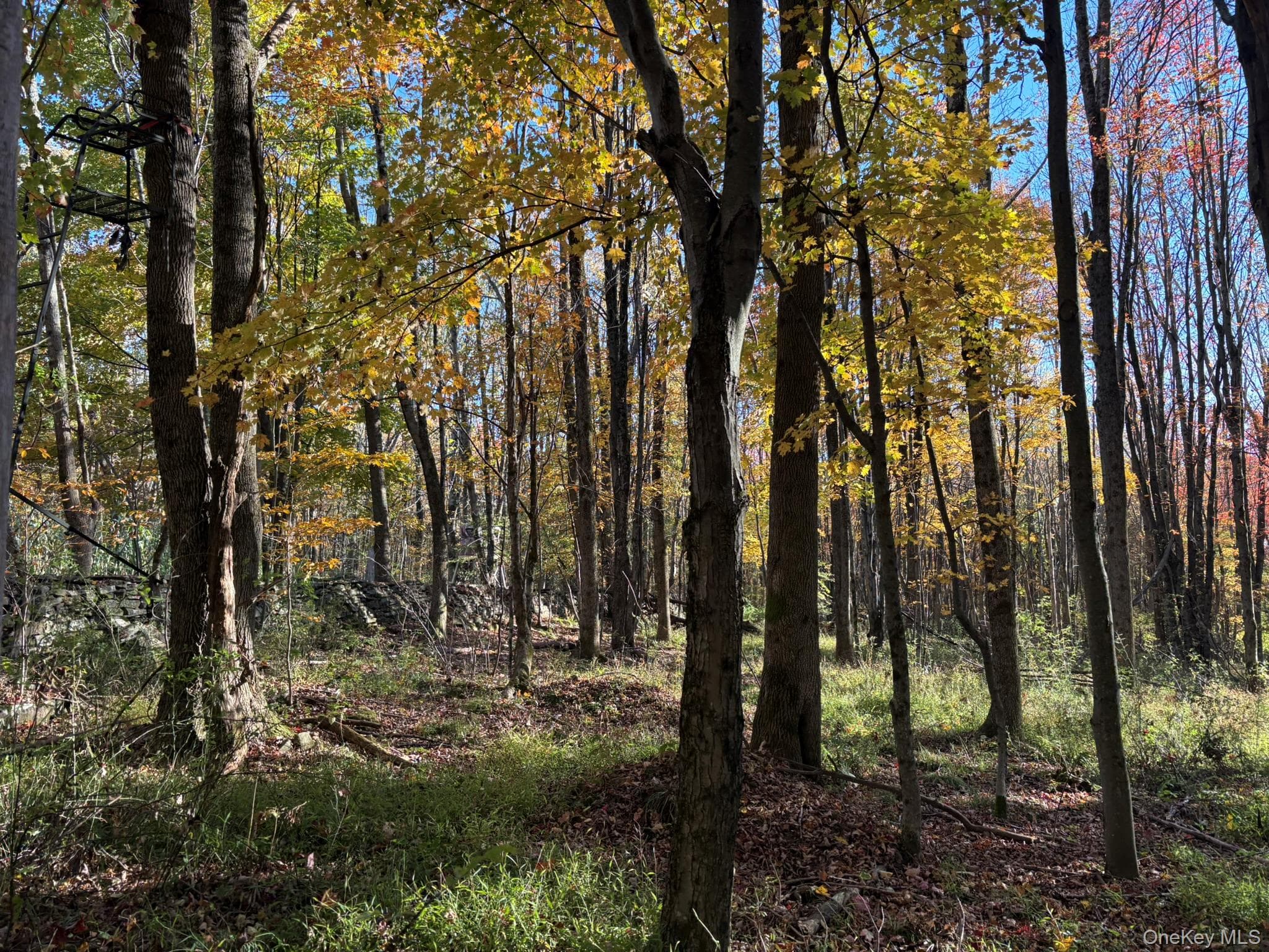 Row Off Chaffee Road thumbnail 5